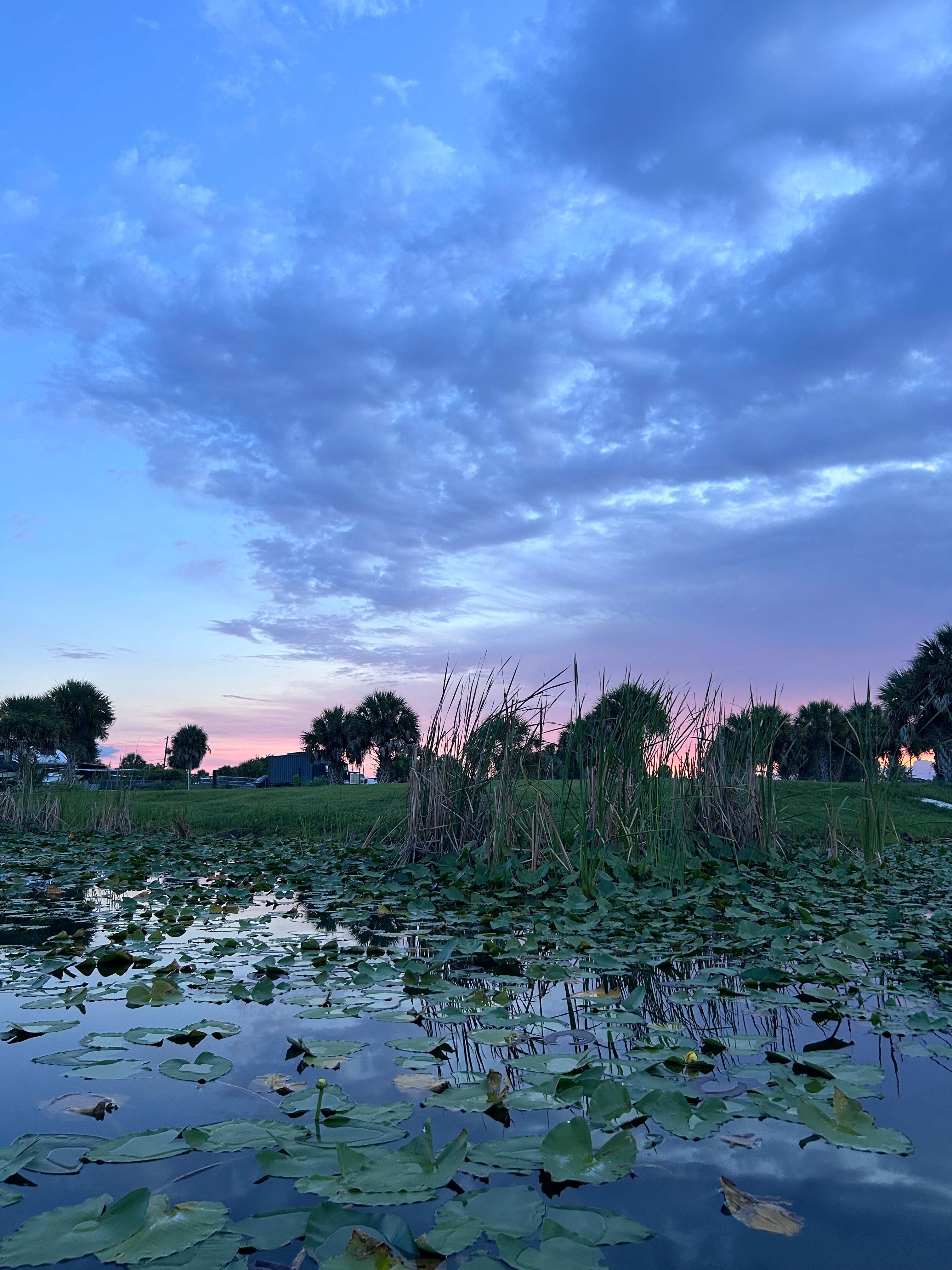 Beautiful sunset from the paddle boat. 