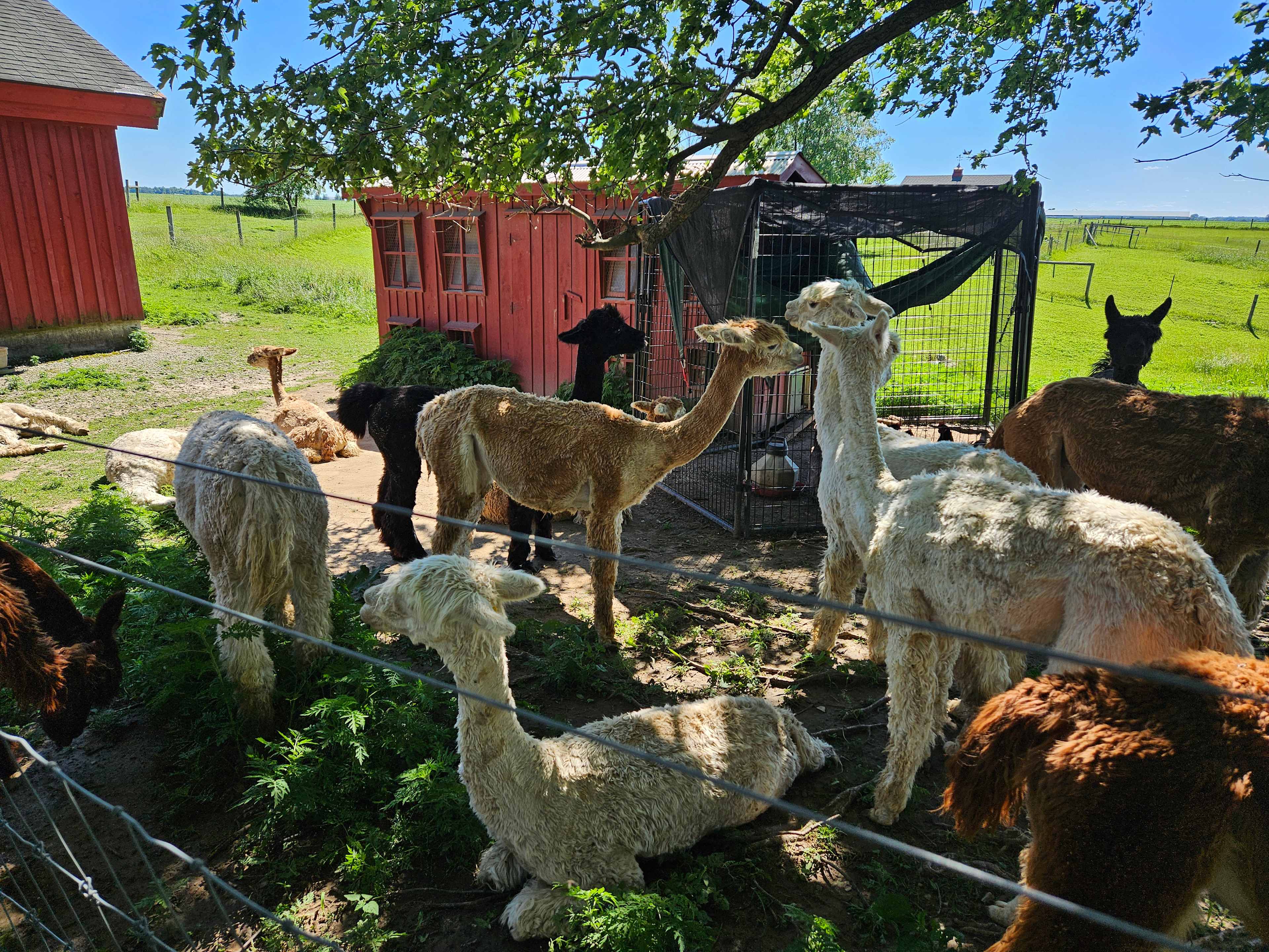 Heritage Farm Stay Adventure