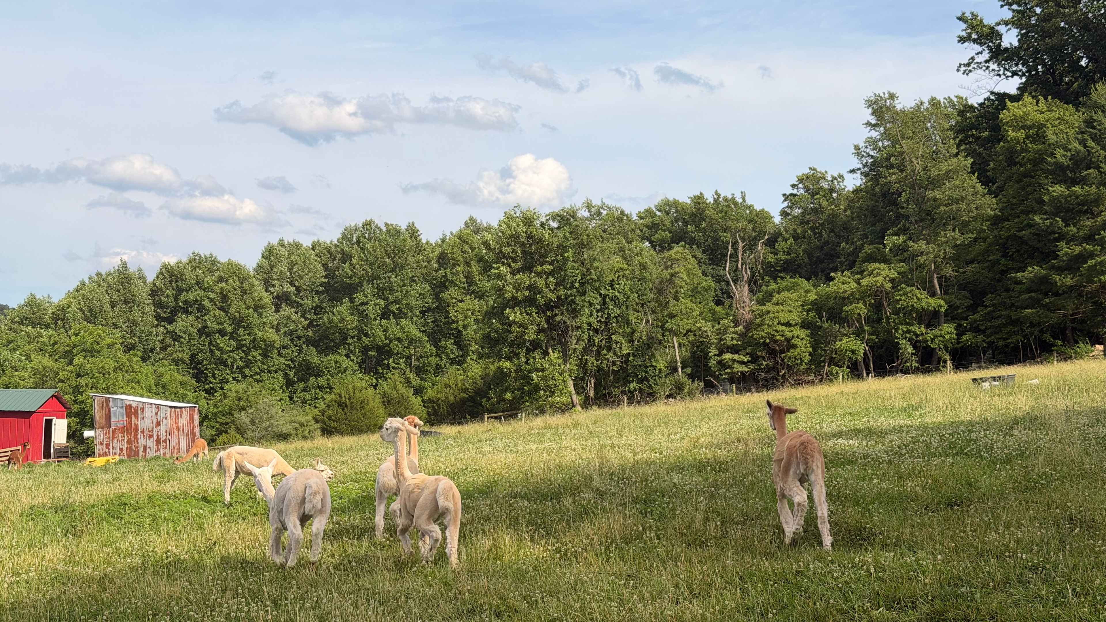 Beespoke Farms