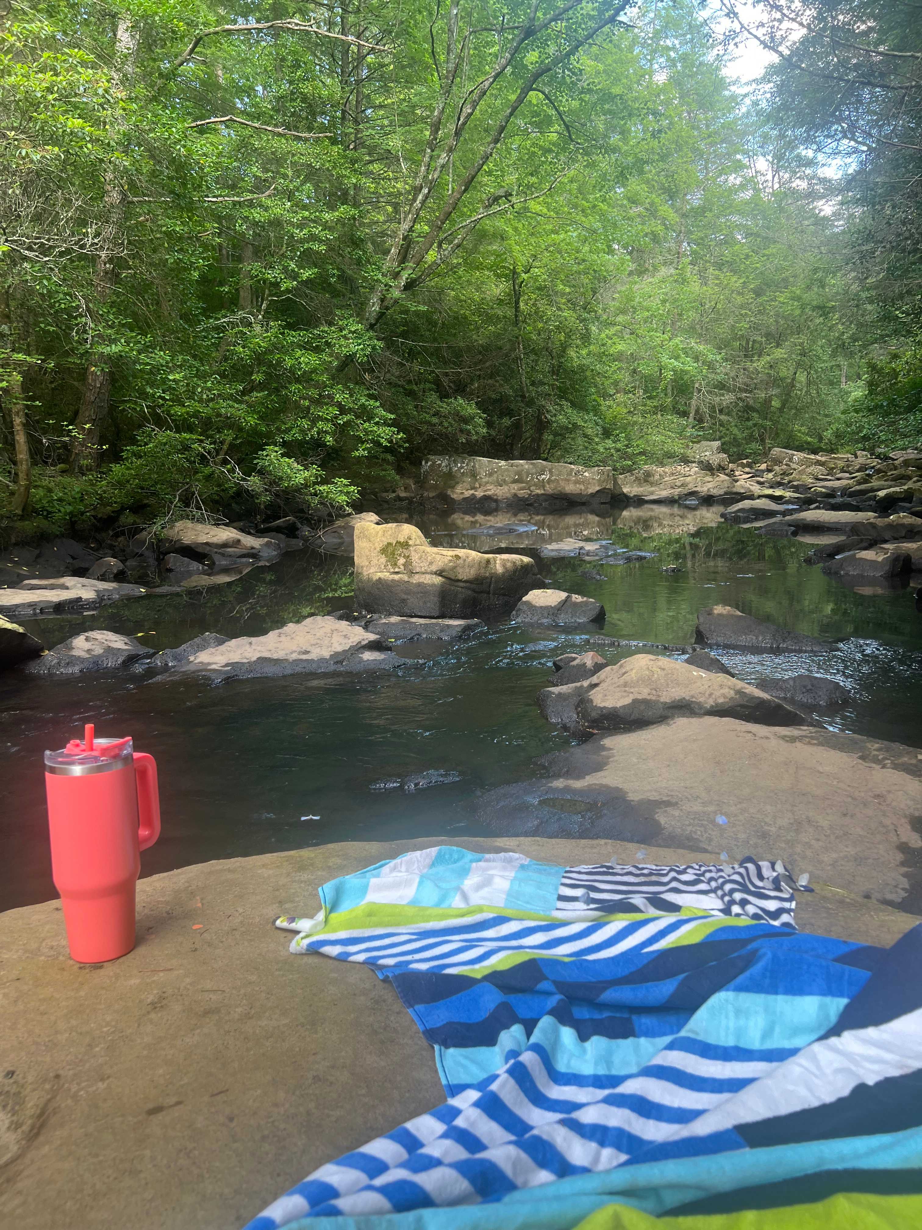 Hammock’Sway Private Off Grid Camp