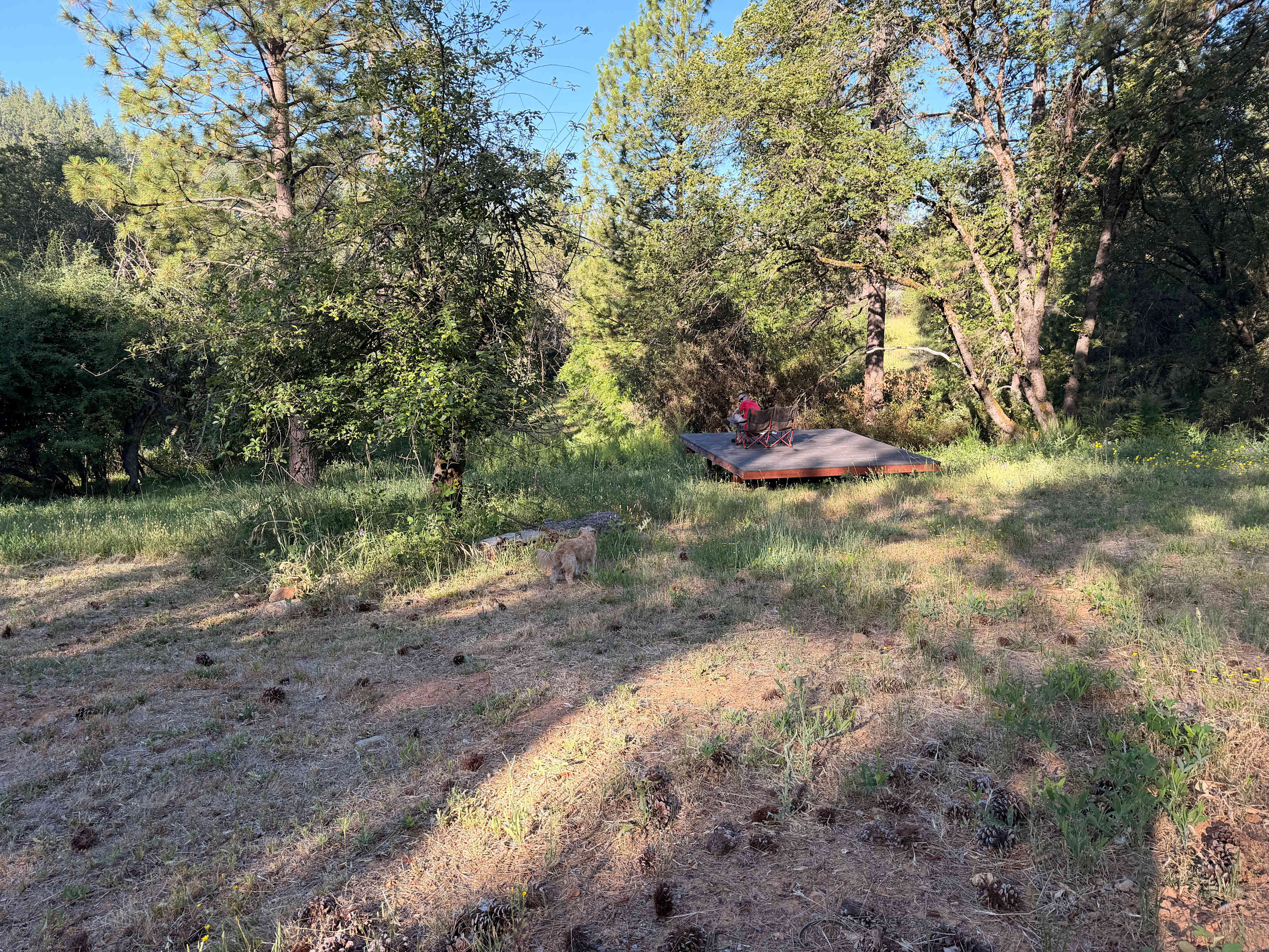 Sierra Waters Homestead