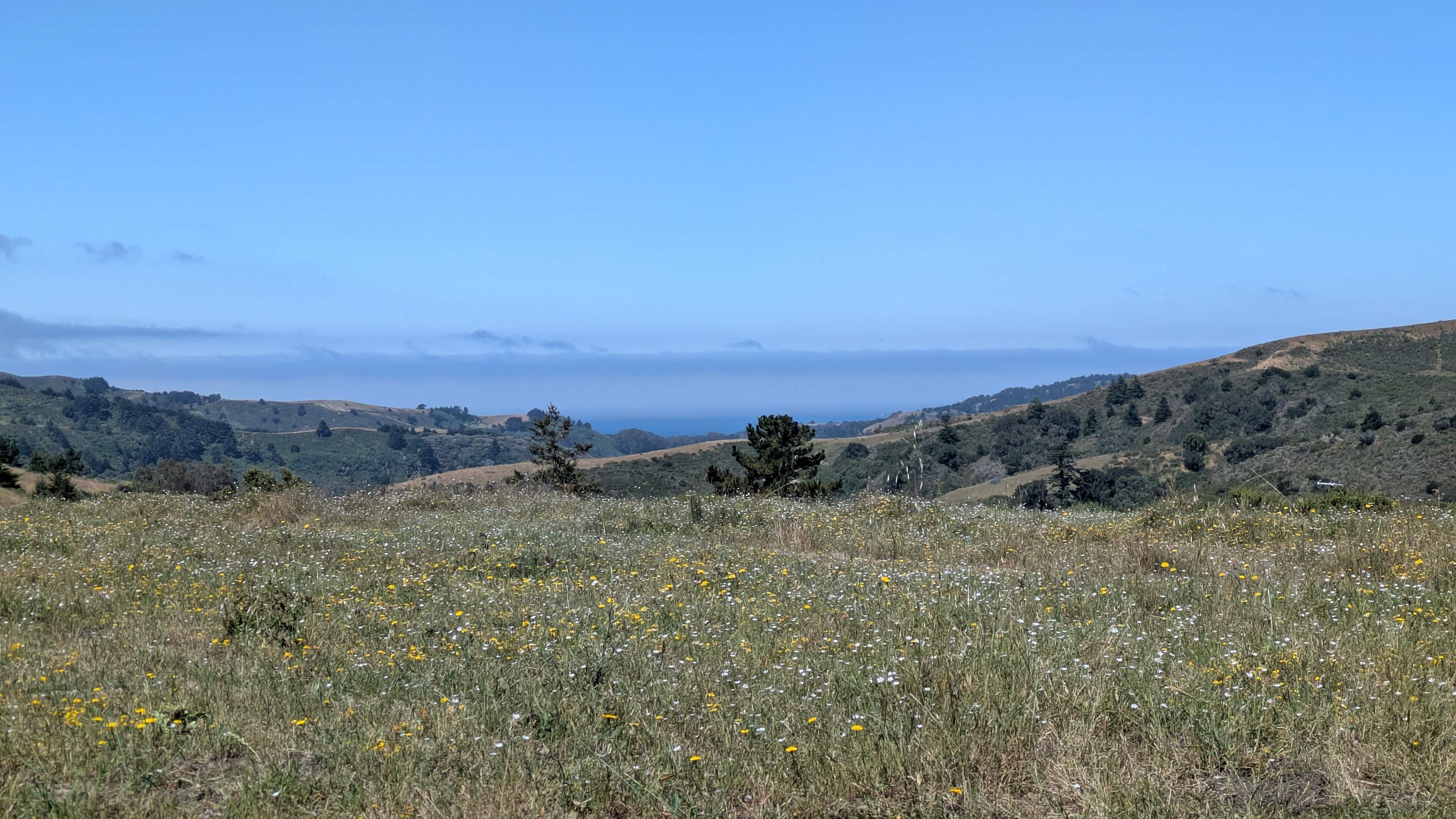 Bear Gulch Hide Out