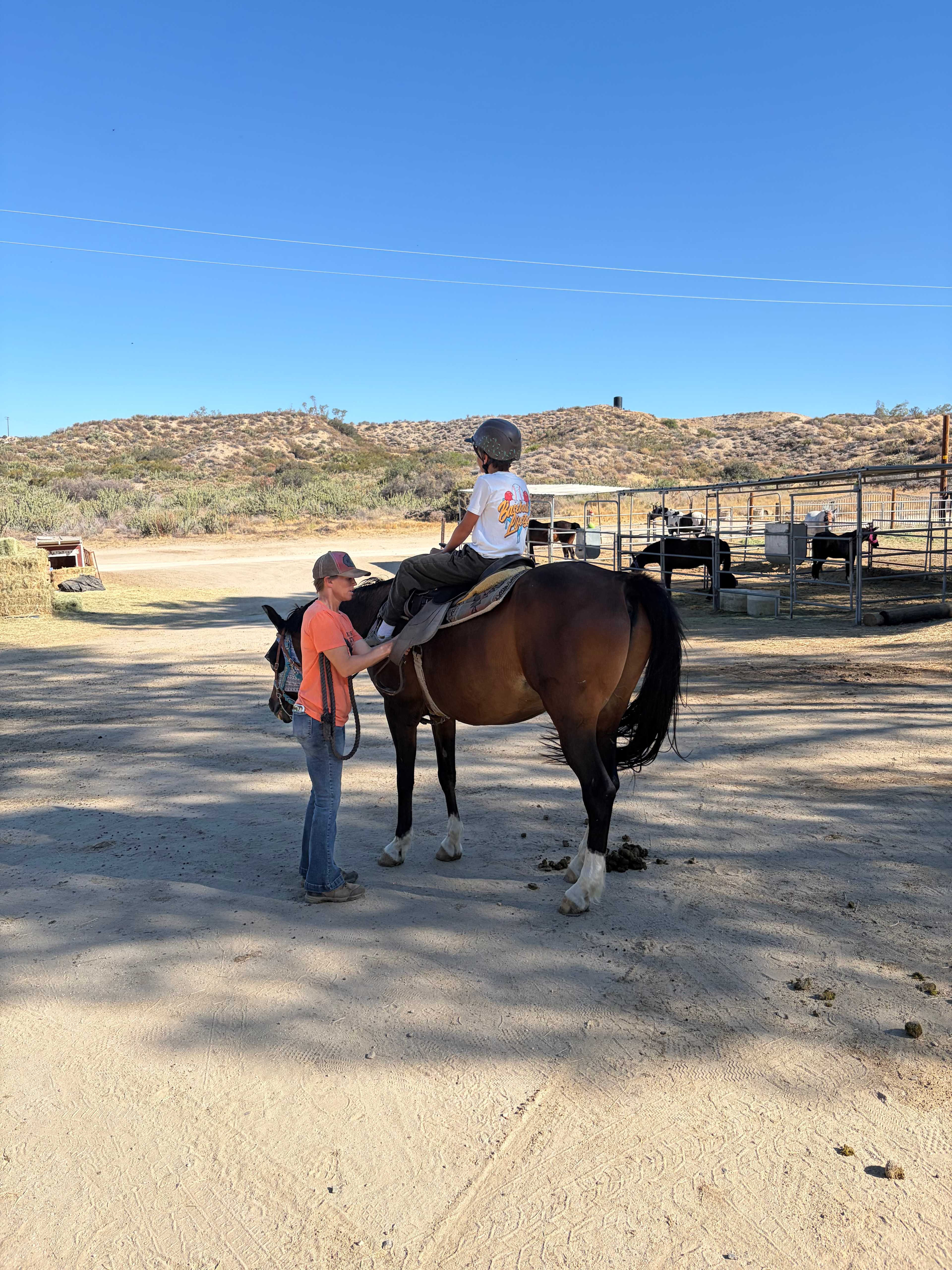 Horse back riding in the morning. 