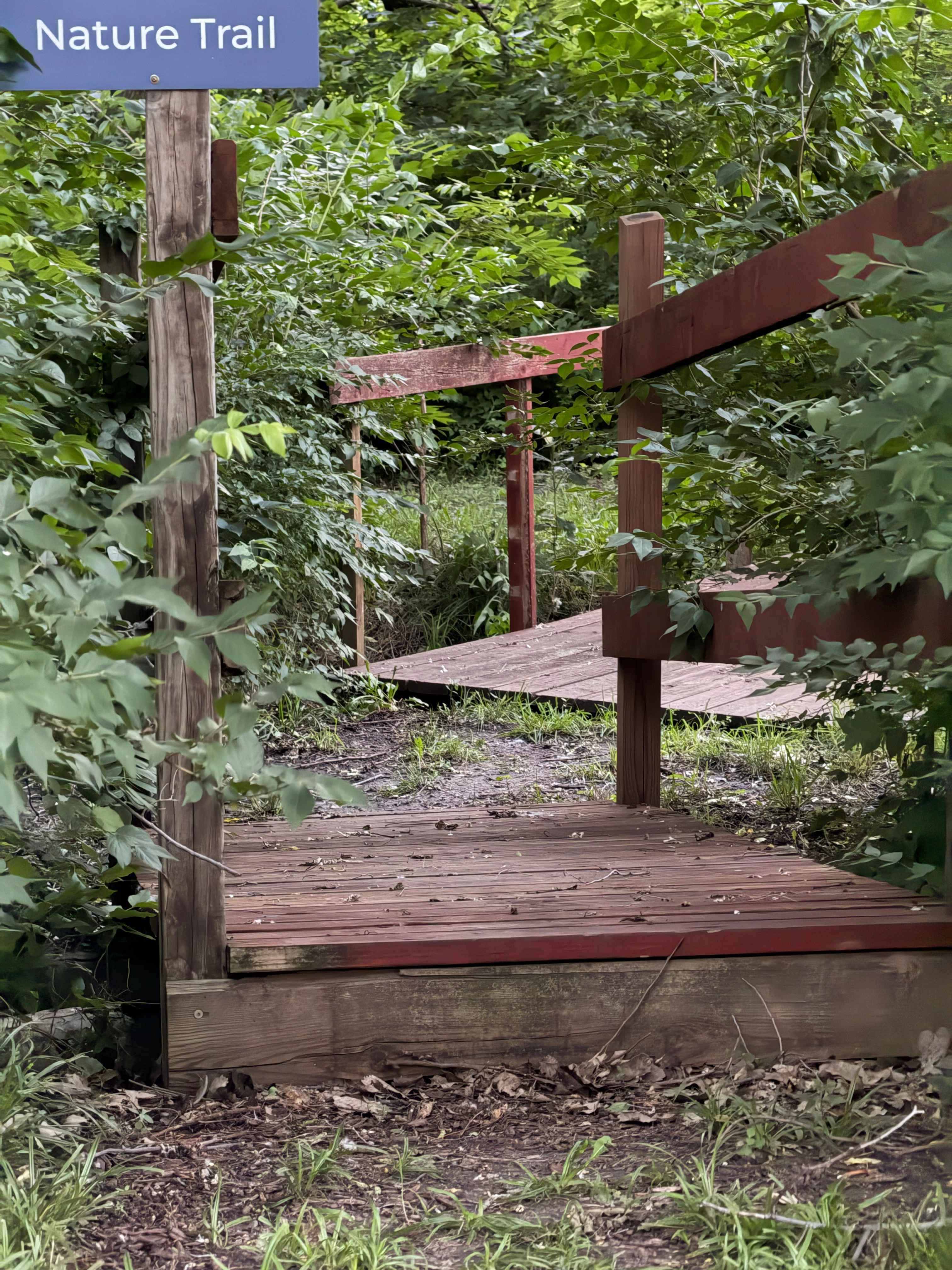 Cottonwood Creek Camp