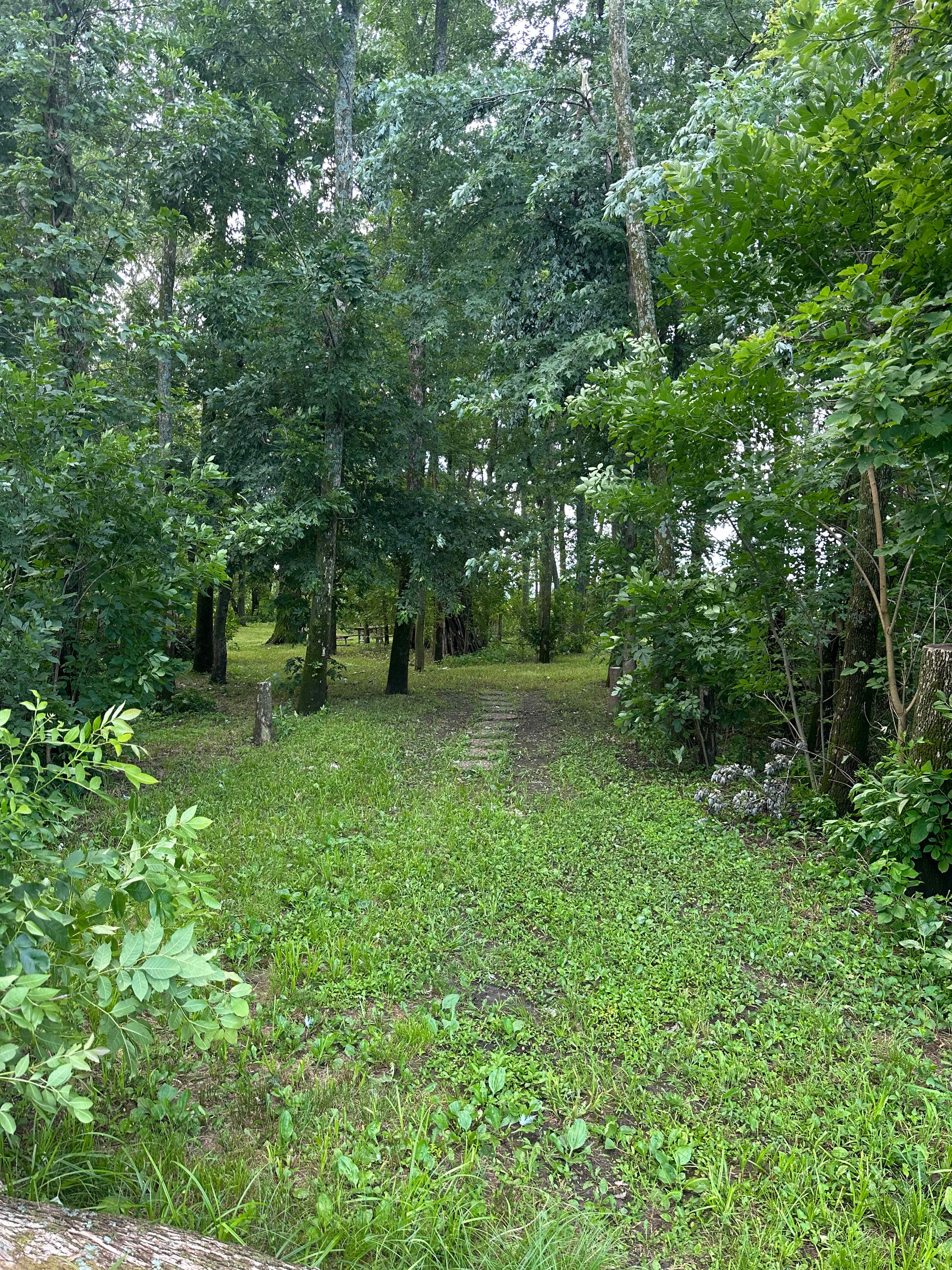 Harmony Lake Farm Park & Playground