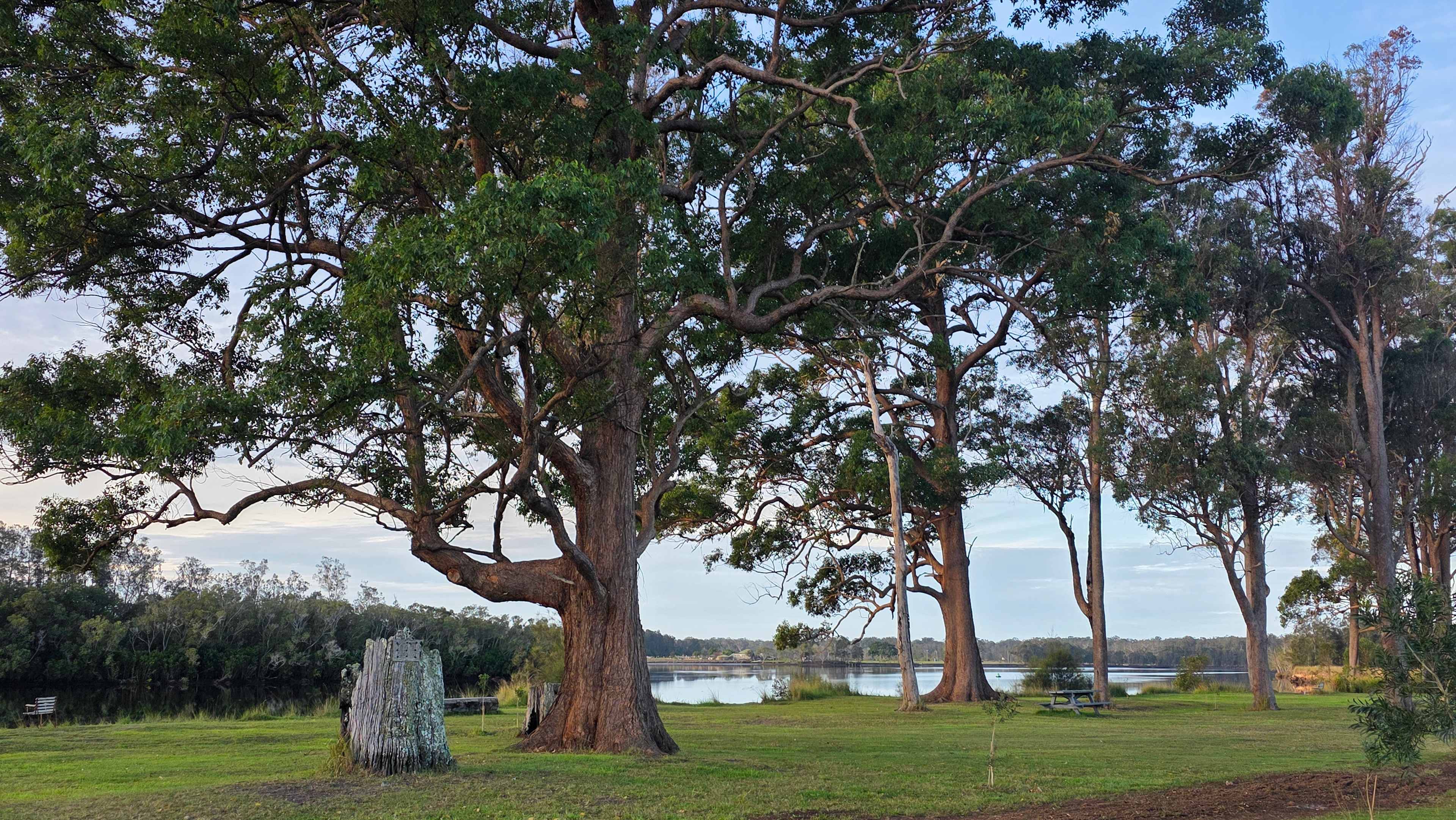 The Hatch Farm - Port Macquarie