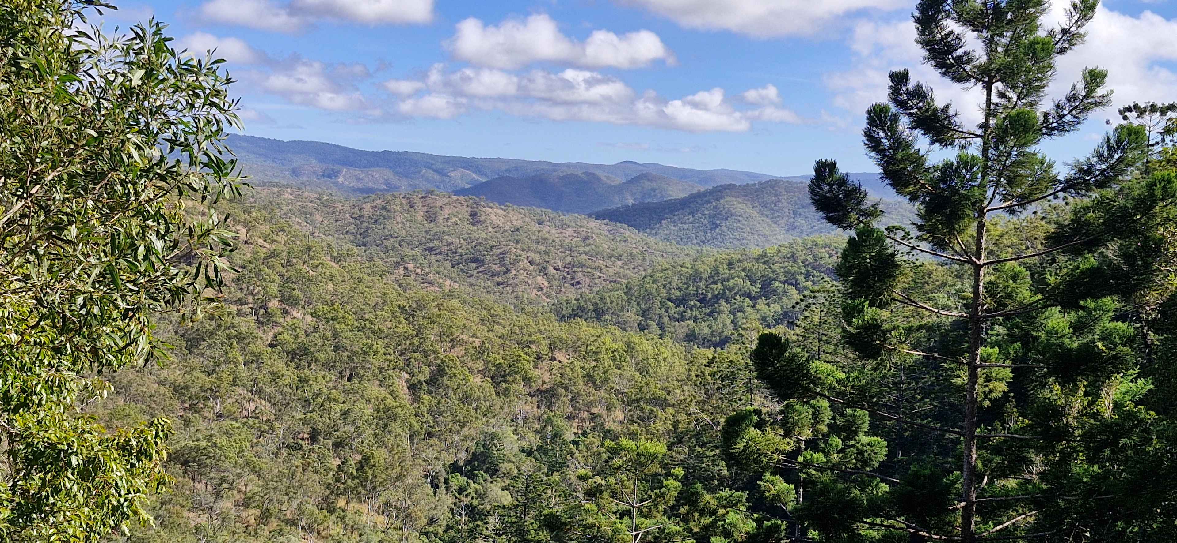 Lookout from the trail.