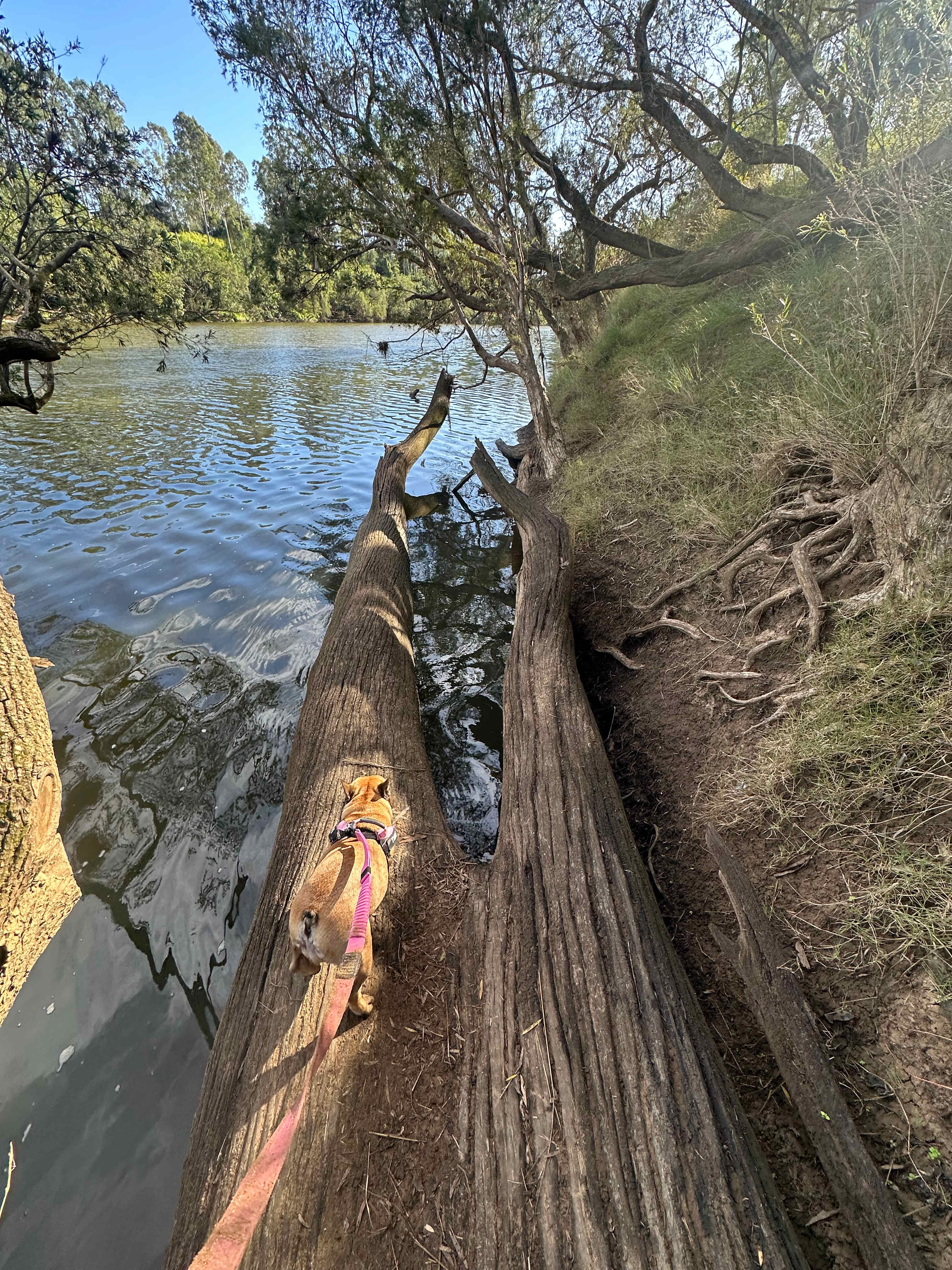 Mary River Farmstay