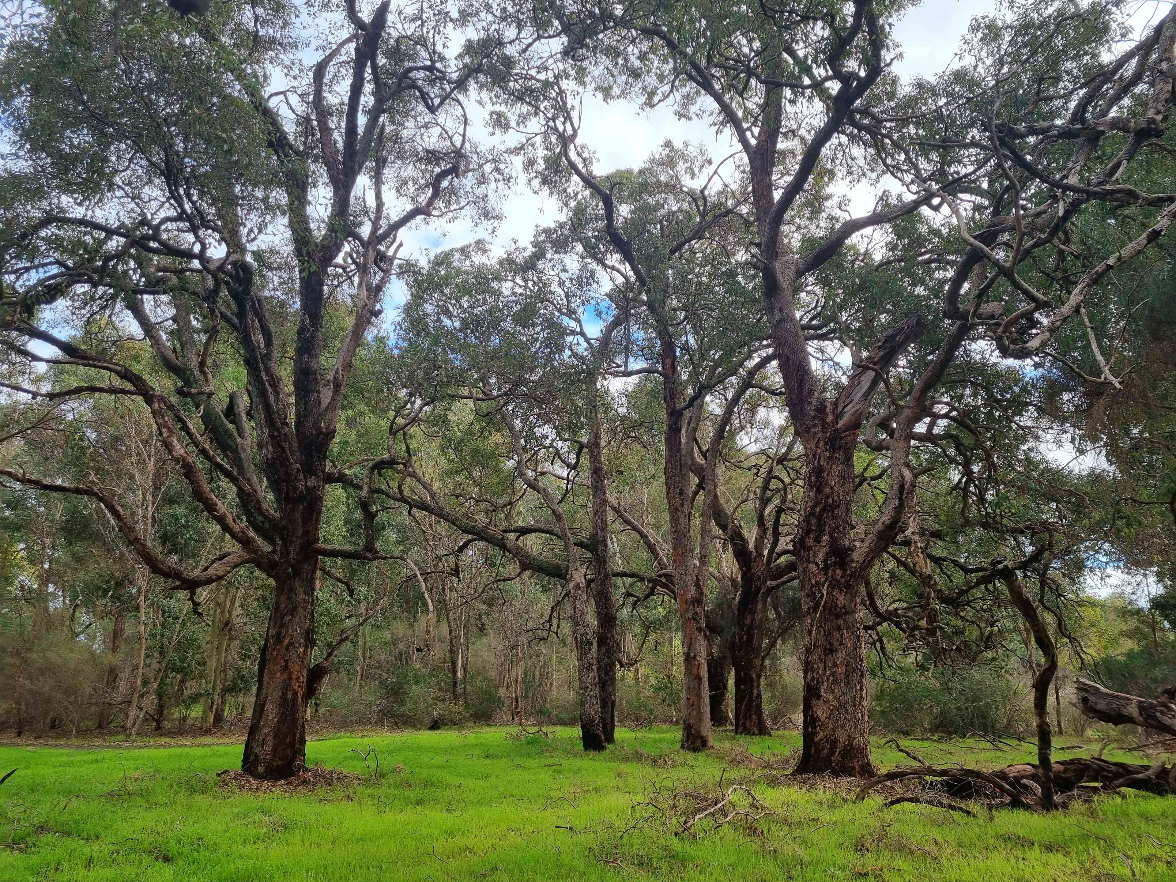 Rose’s Reserve