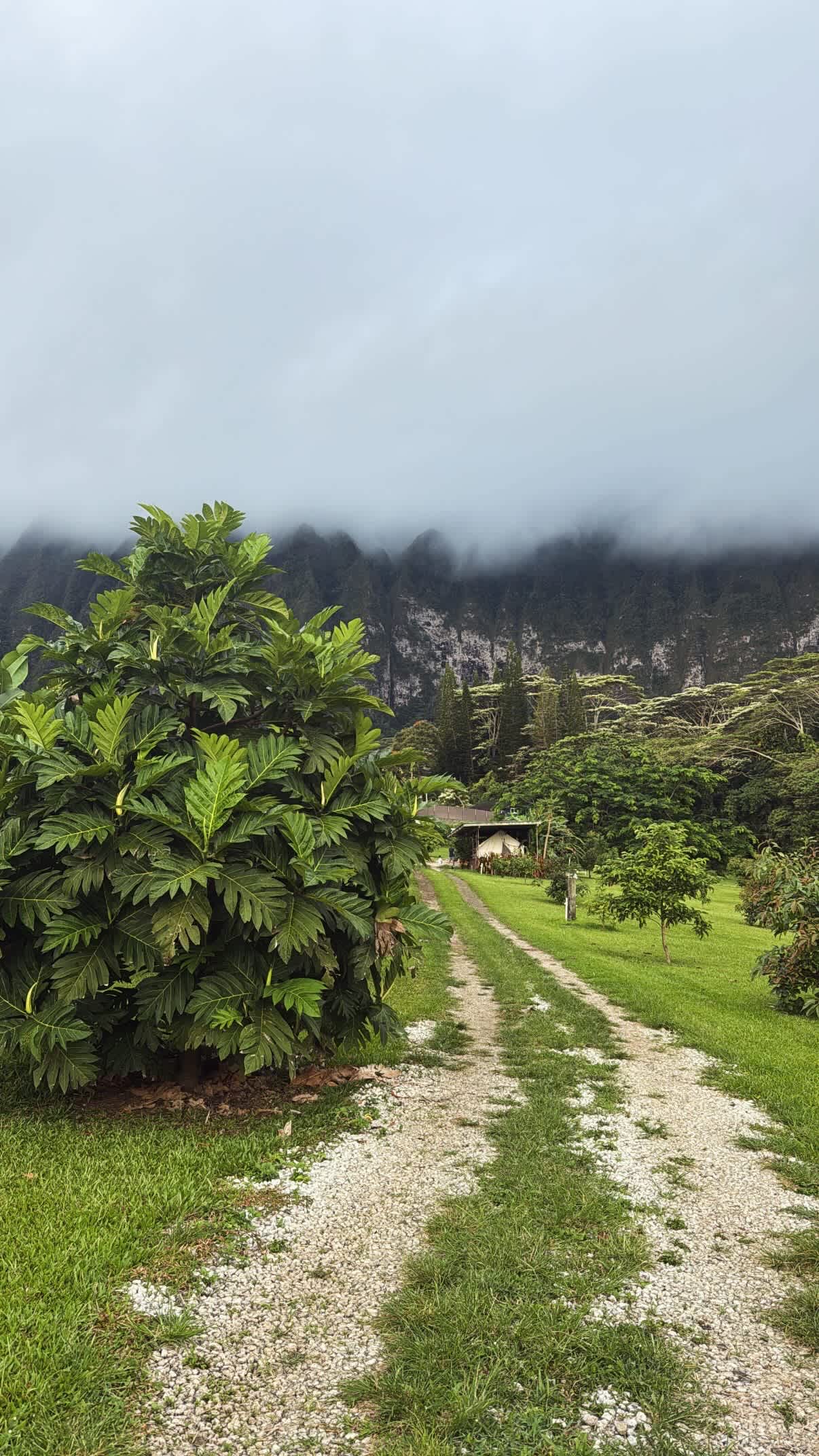 Waimanalo Farmstay