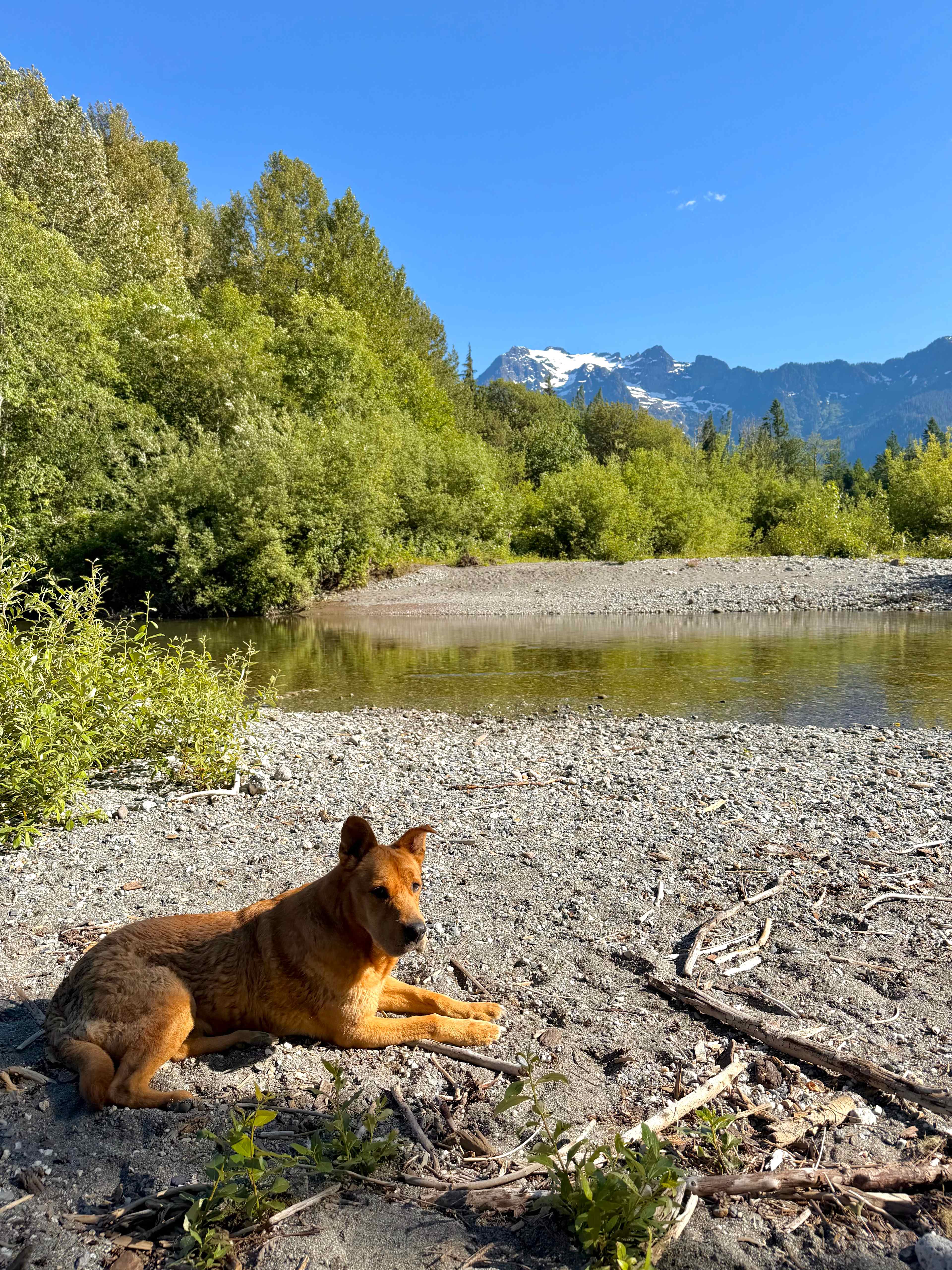 North Stilly River Yurt