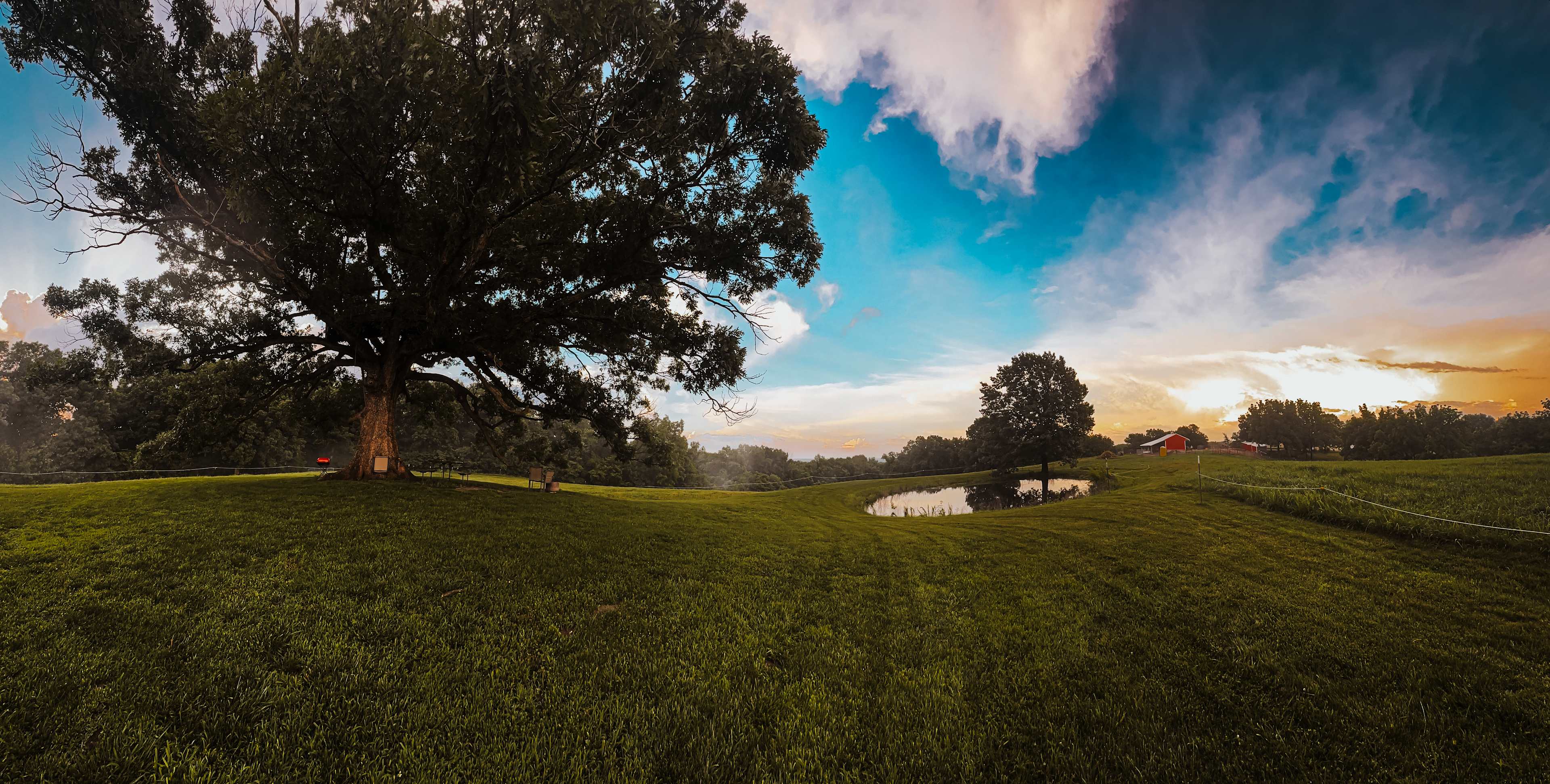 Pano of the treehouse site