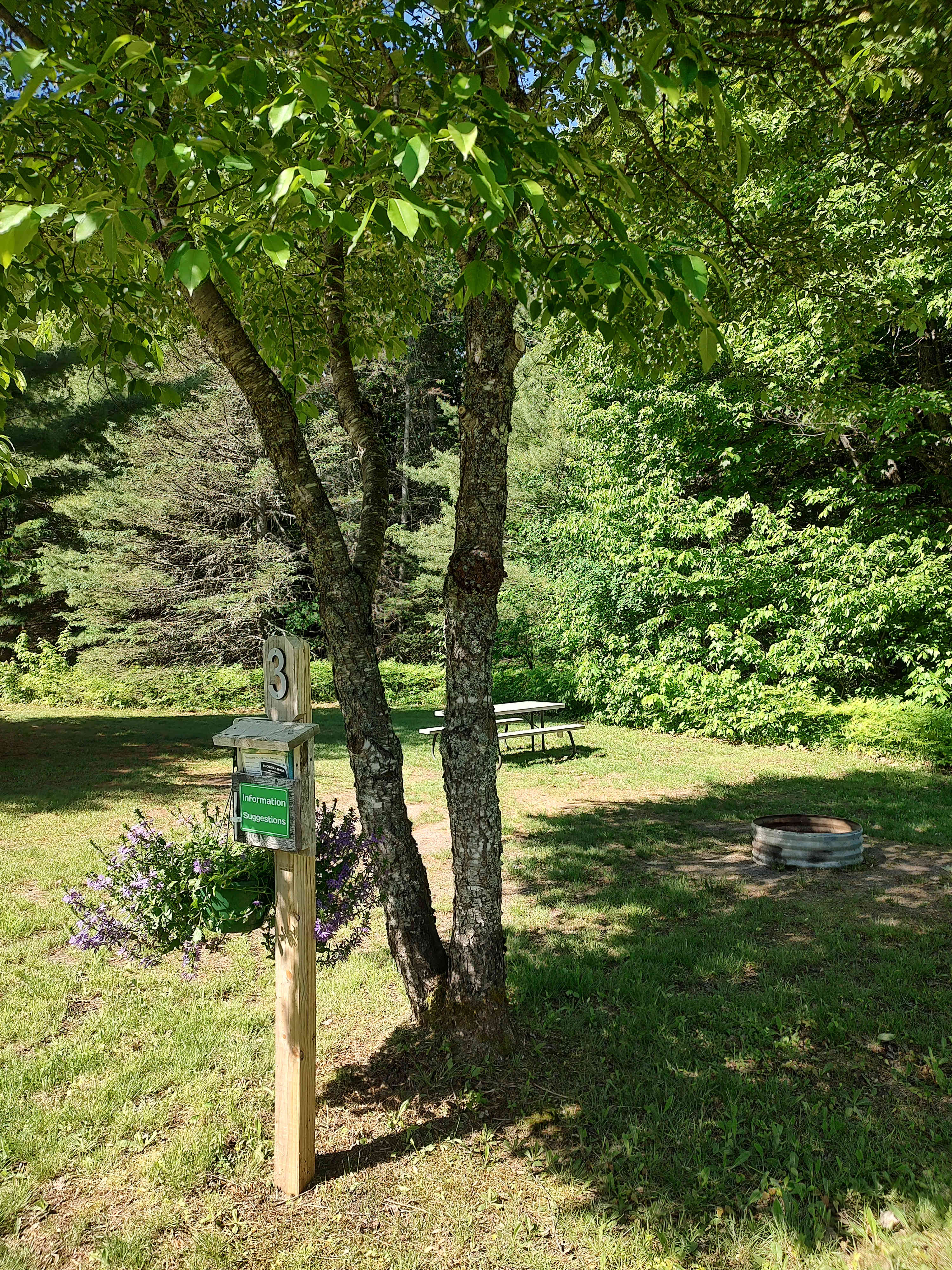 Picture of the site