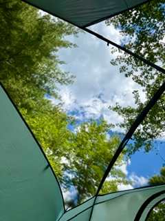 Took a nap here after a great hike at Rickett's Glen