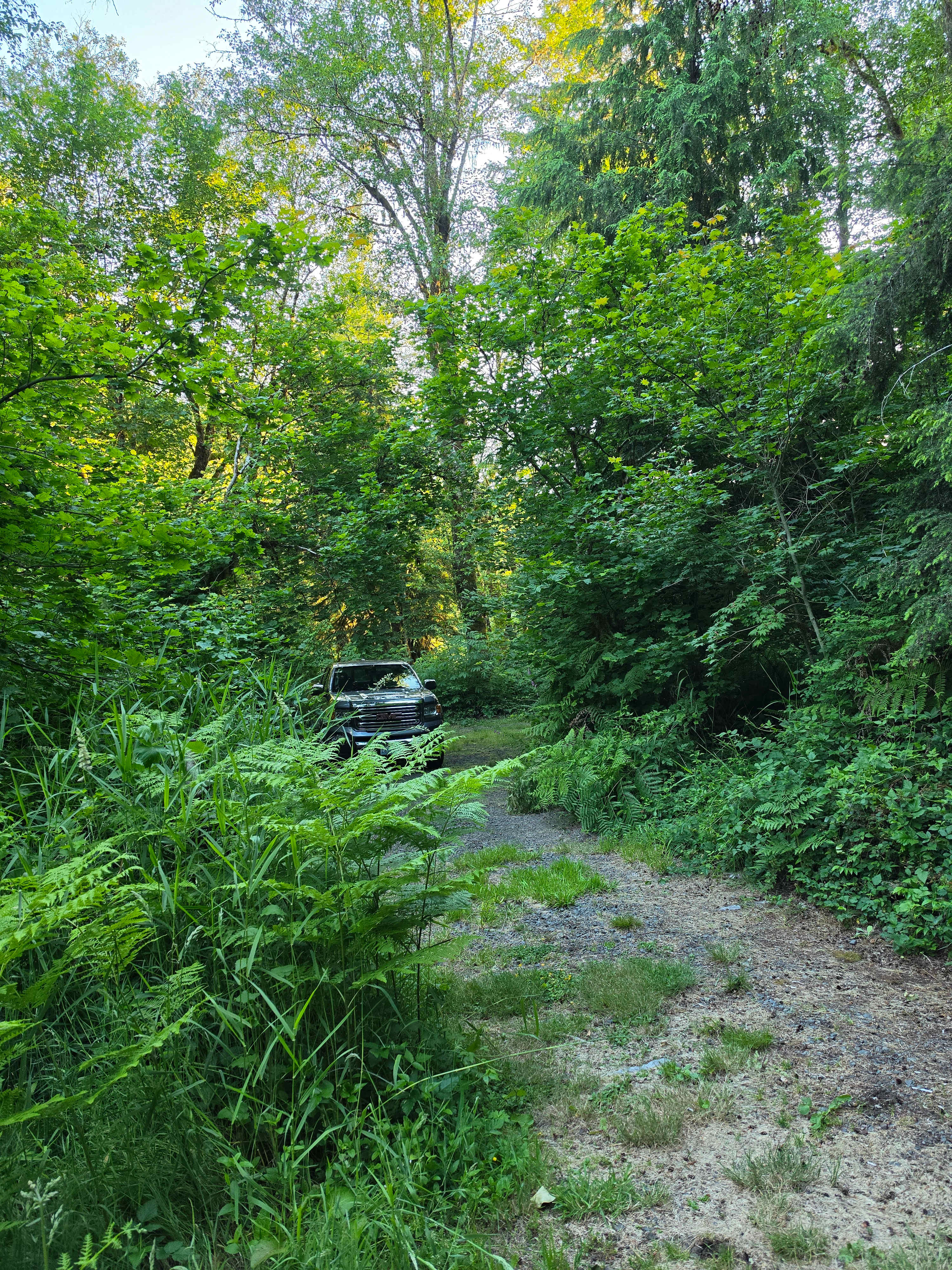 Nature Camp, Cabin and Farm.