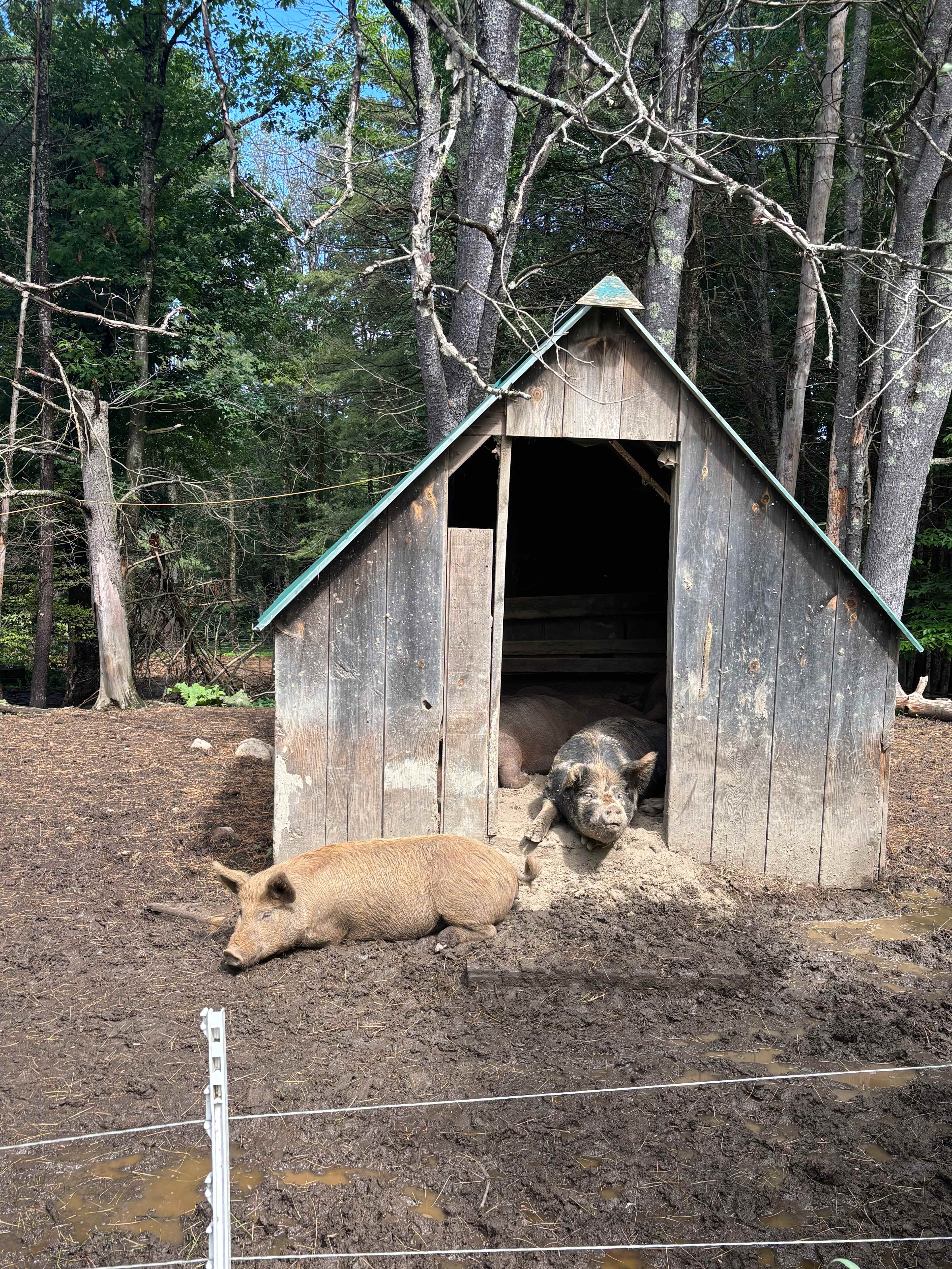 Tir na nOg Farm