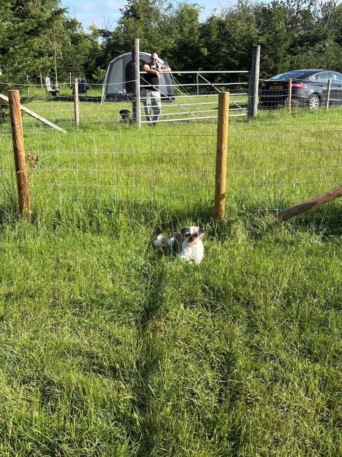Grass was a little too long