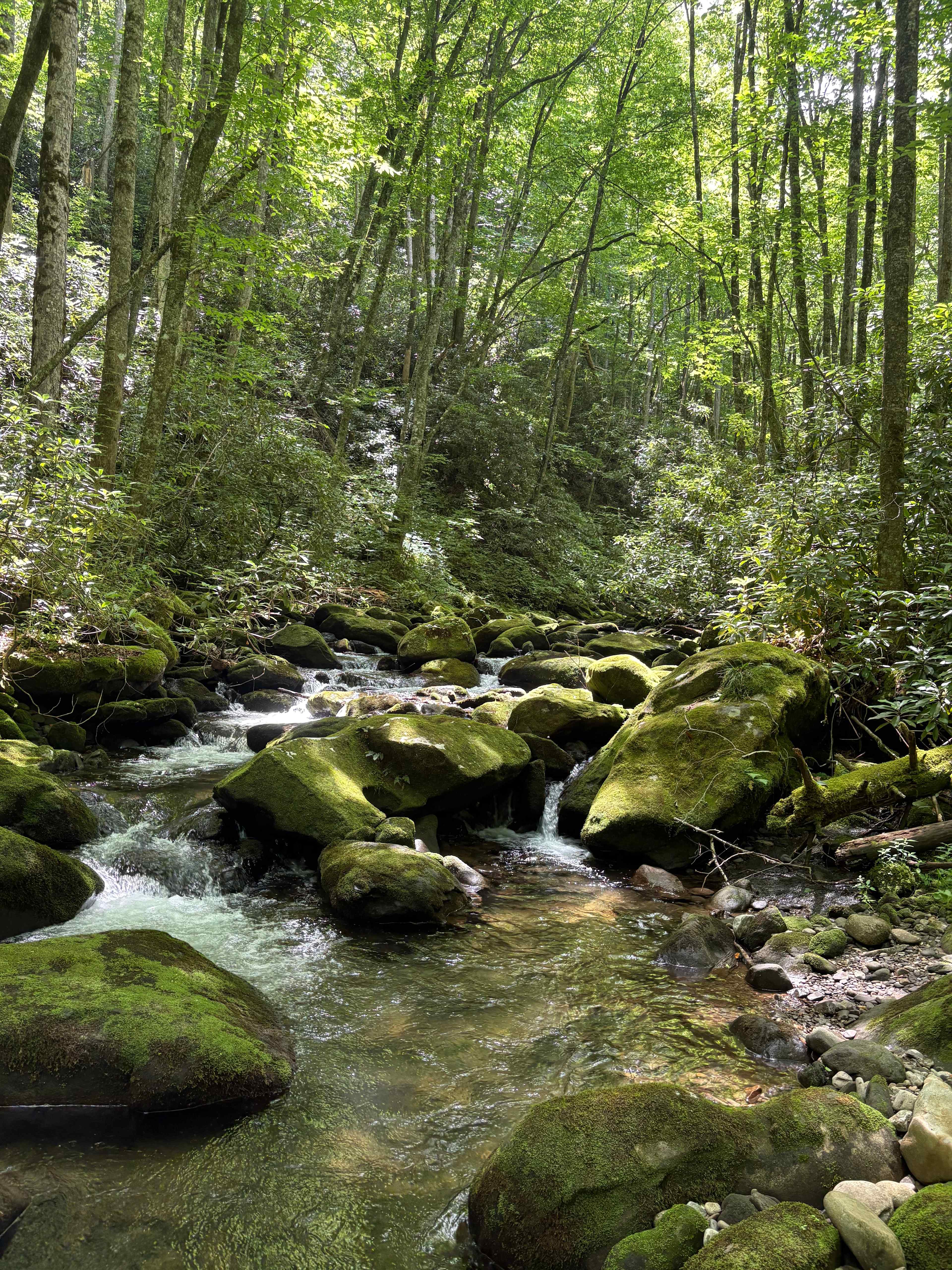 Mountain Creek Rest