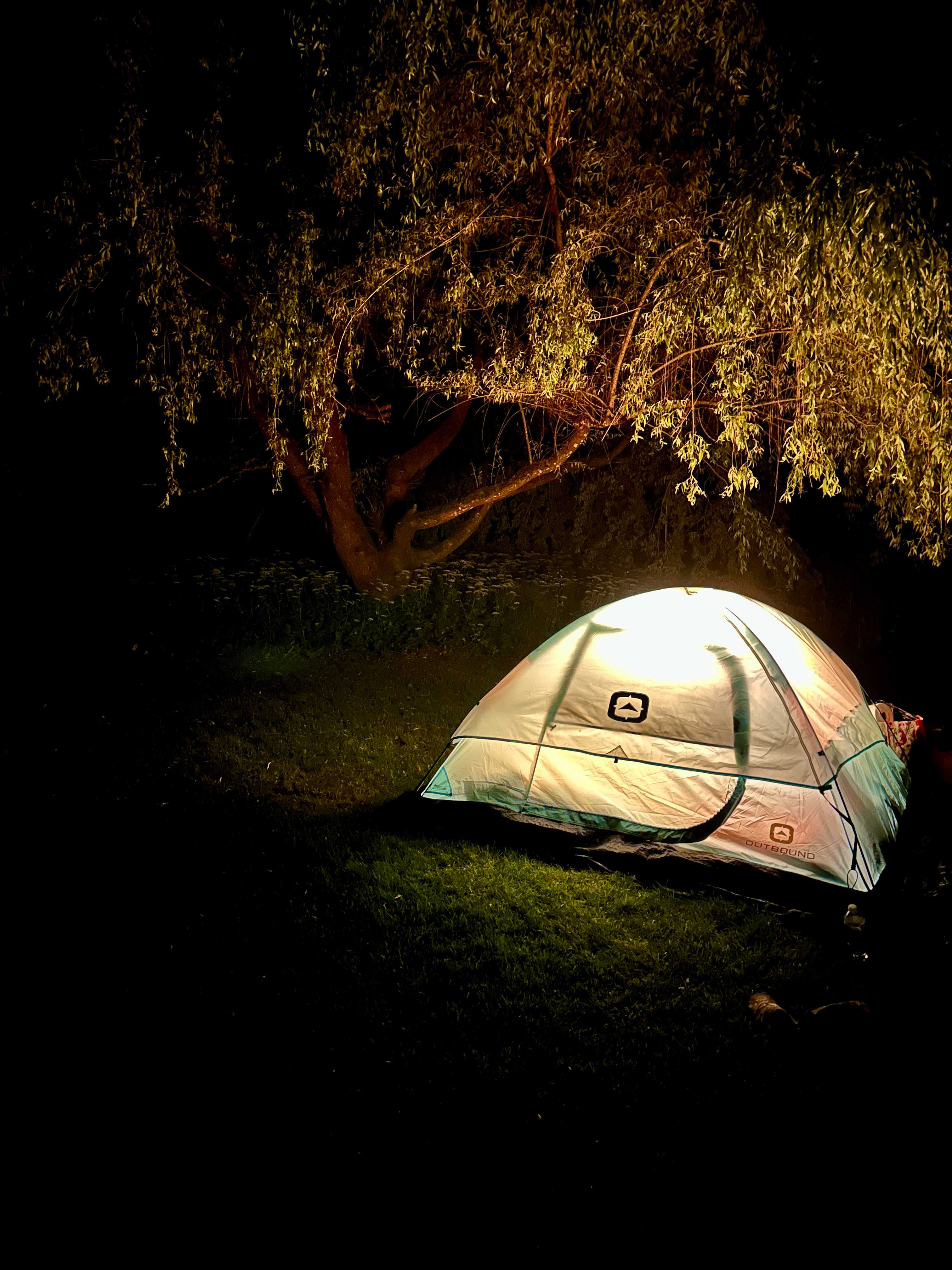 Living Large on Chilliwack River