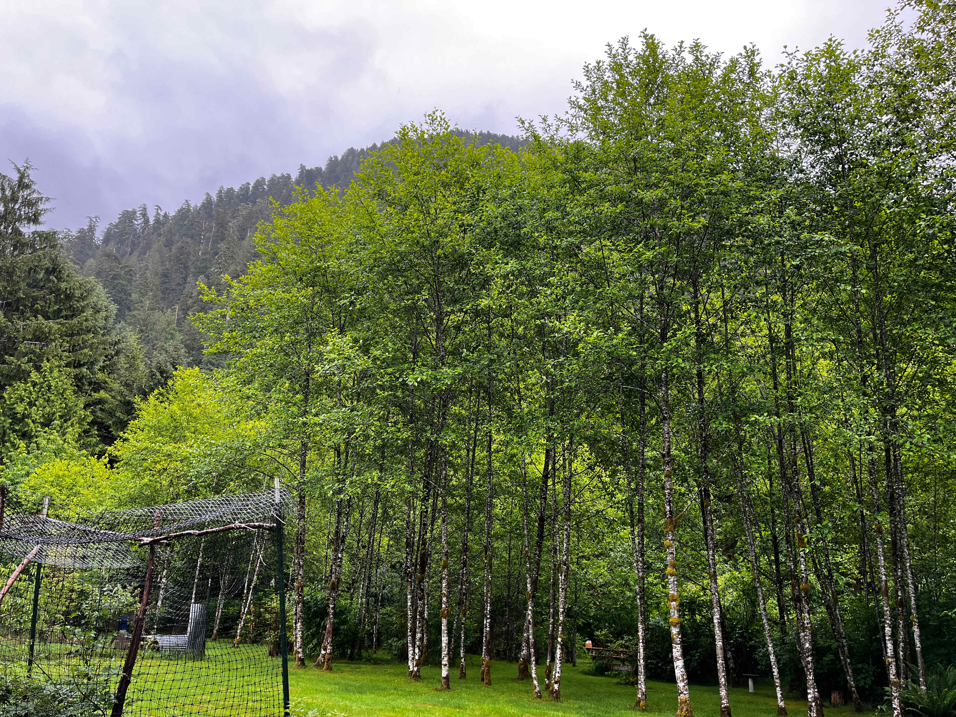 Capa Campground