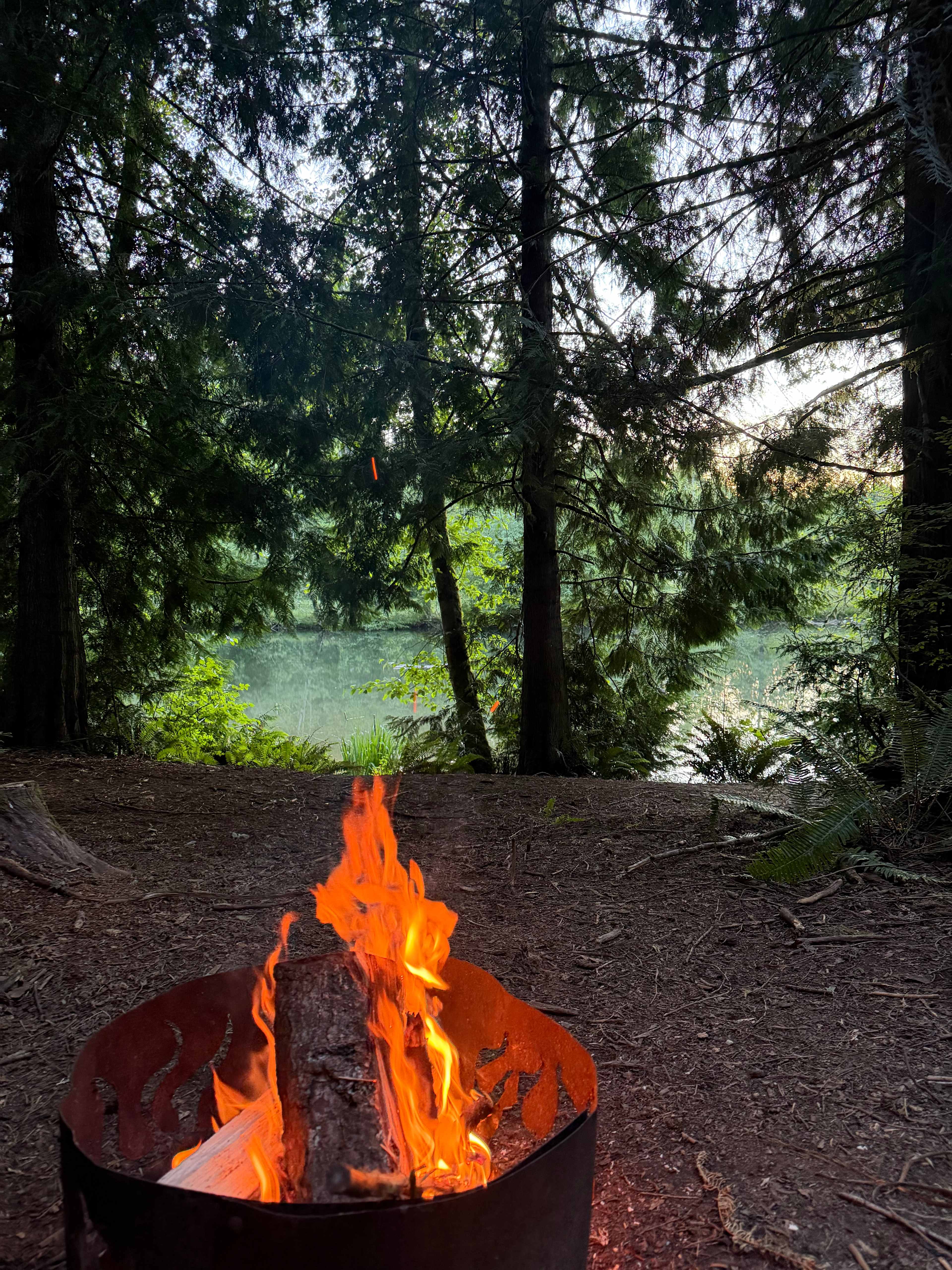 Cedar Hollow