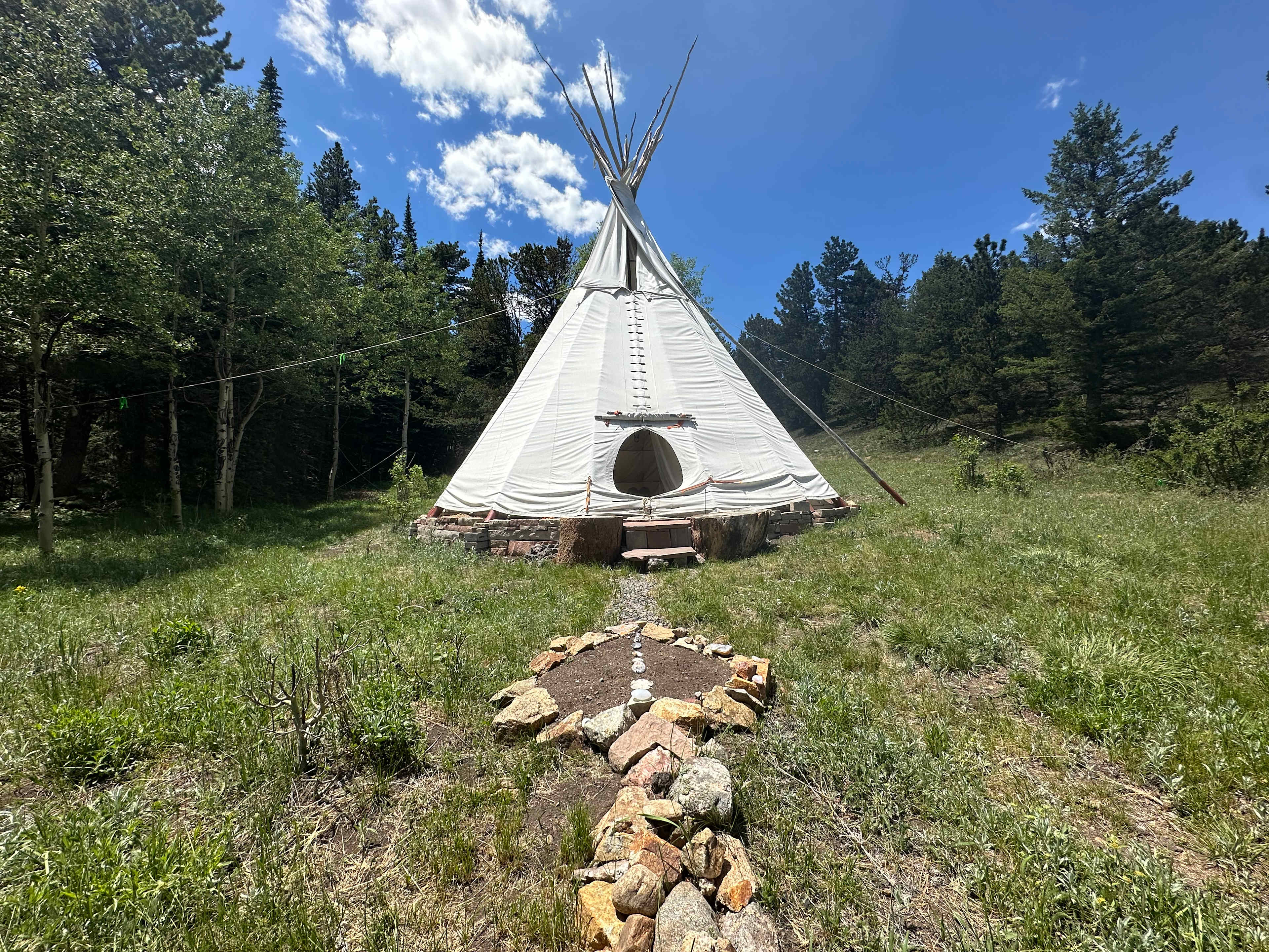 Picture of the site