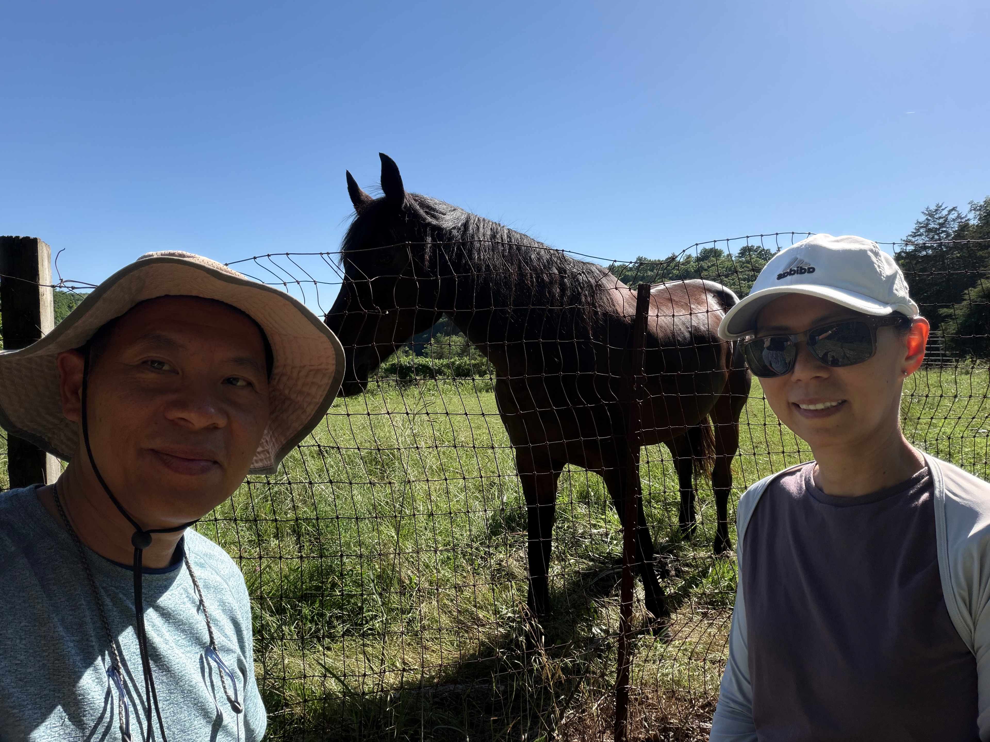 With one of the beautiful horses. 