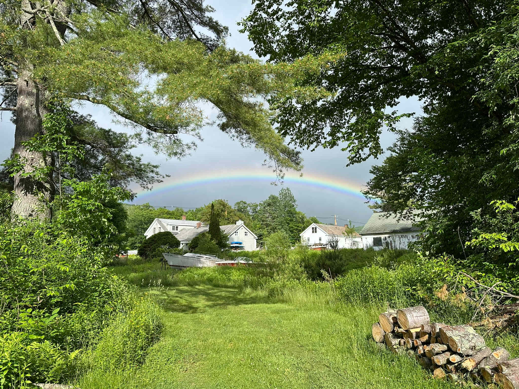 Misty morning rain gifted this beauty!
