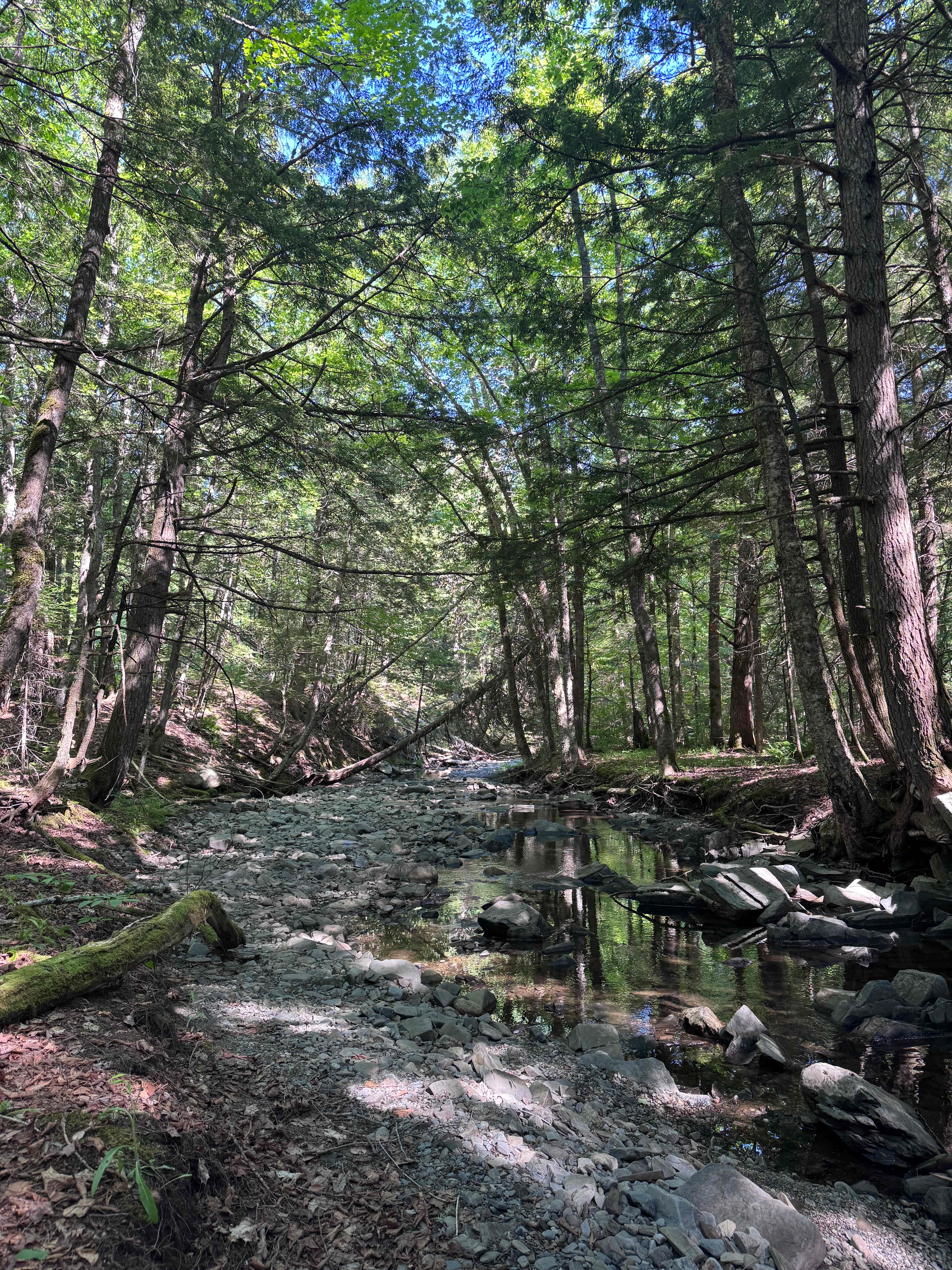 More of the brook