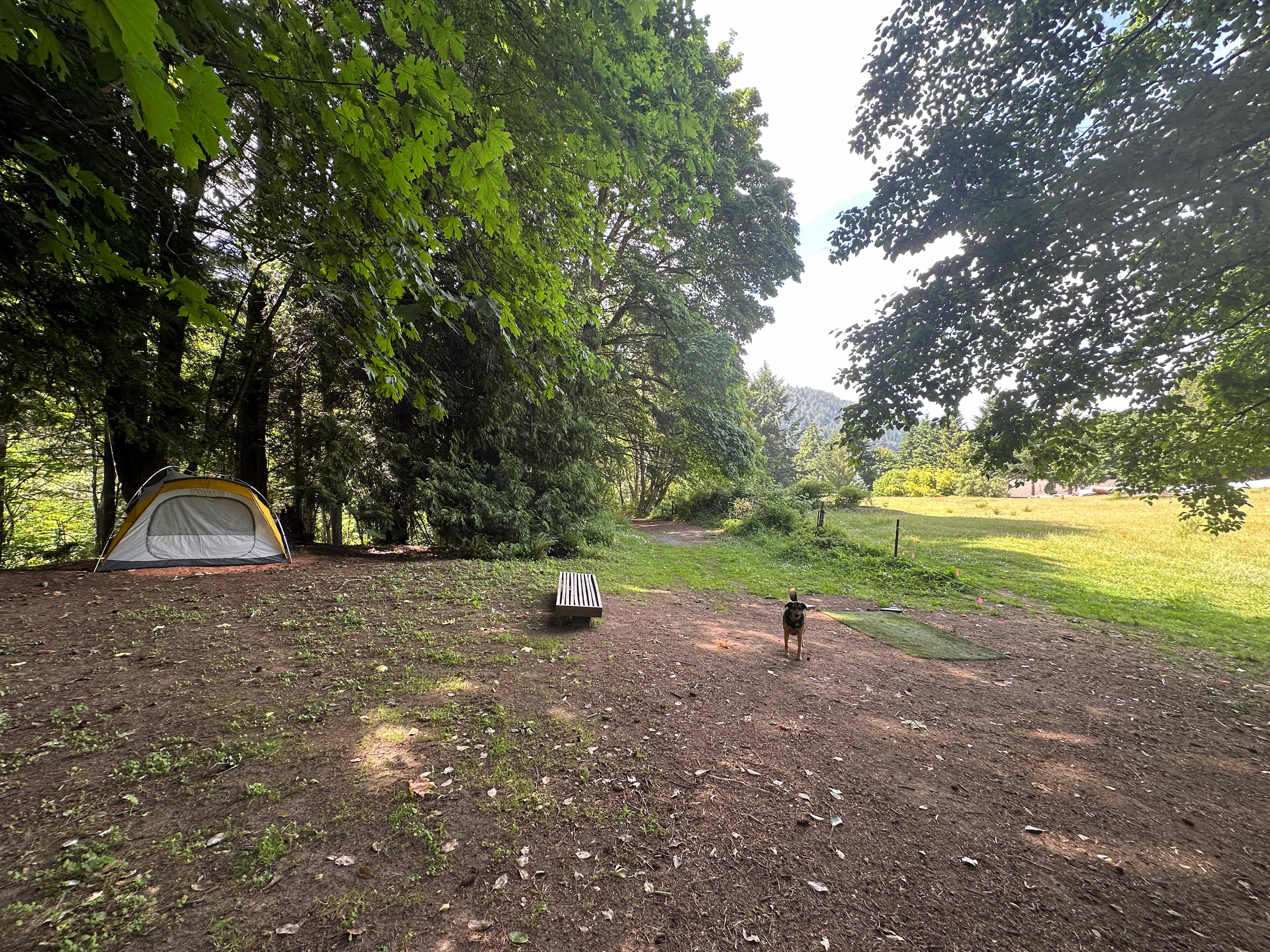 Picture of the site