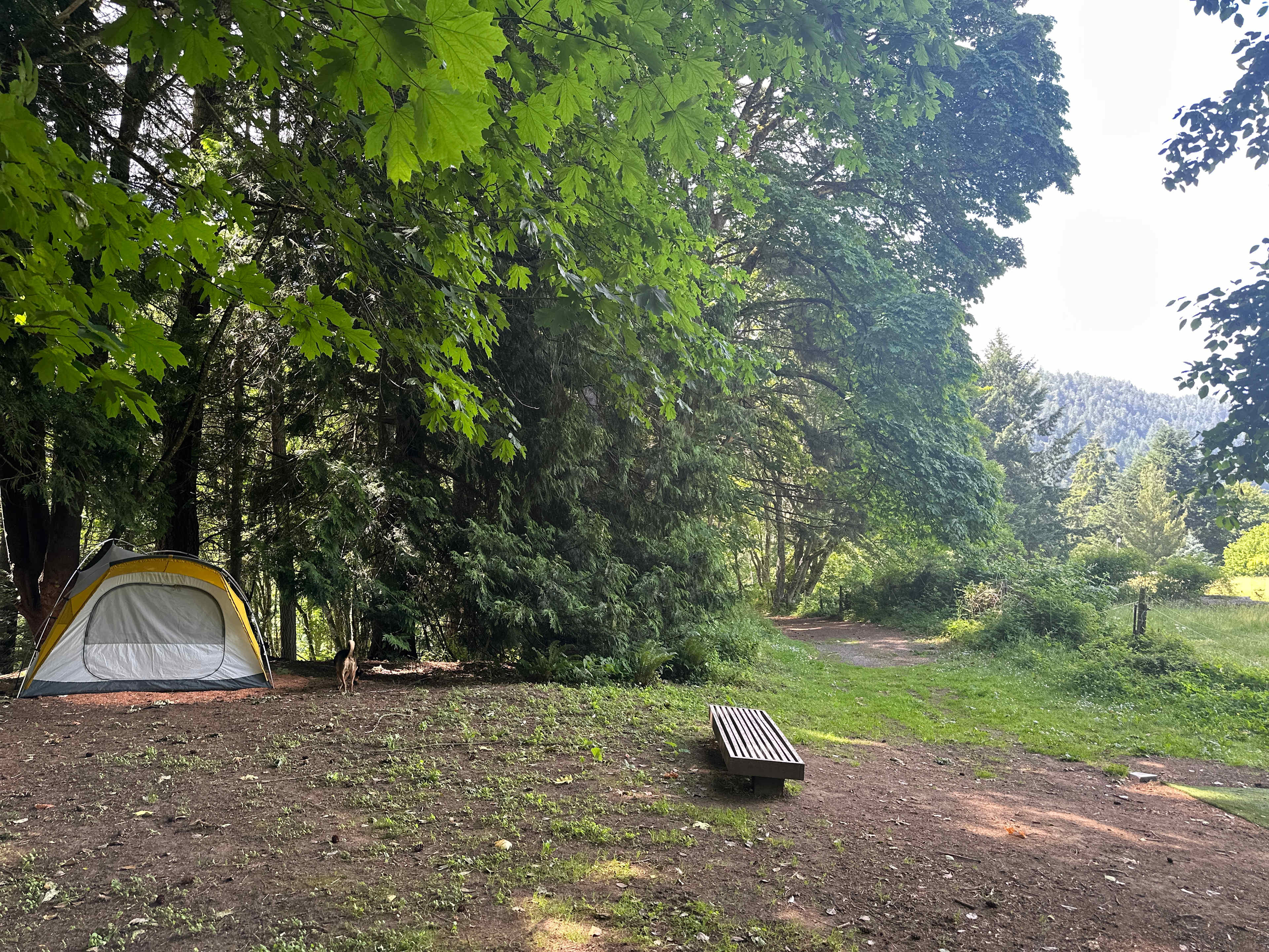 Picture of the site