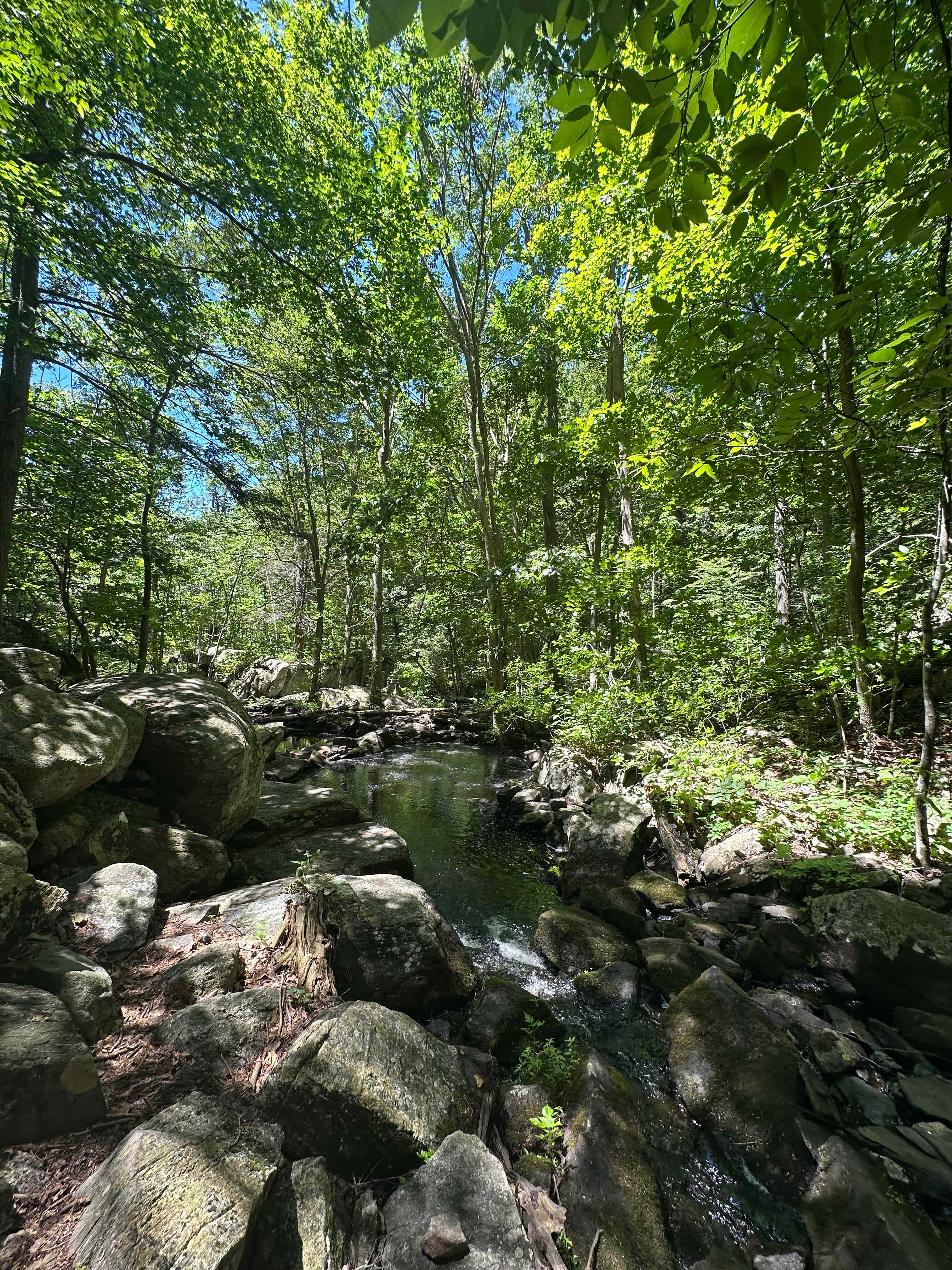 View near the waterfall