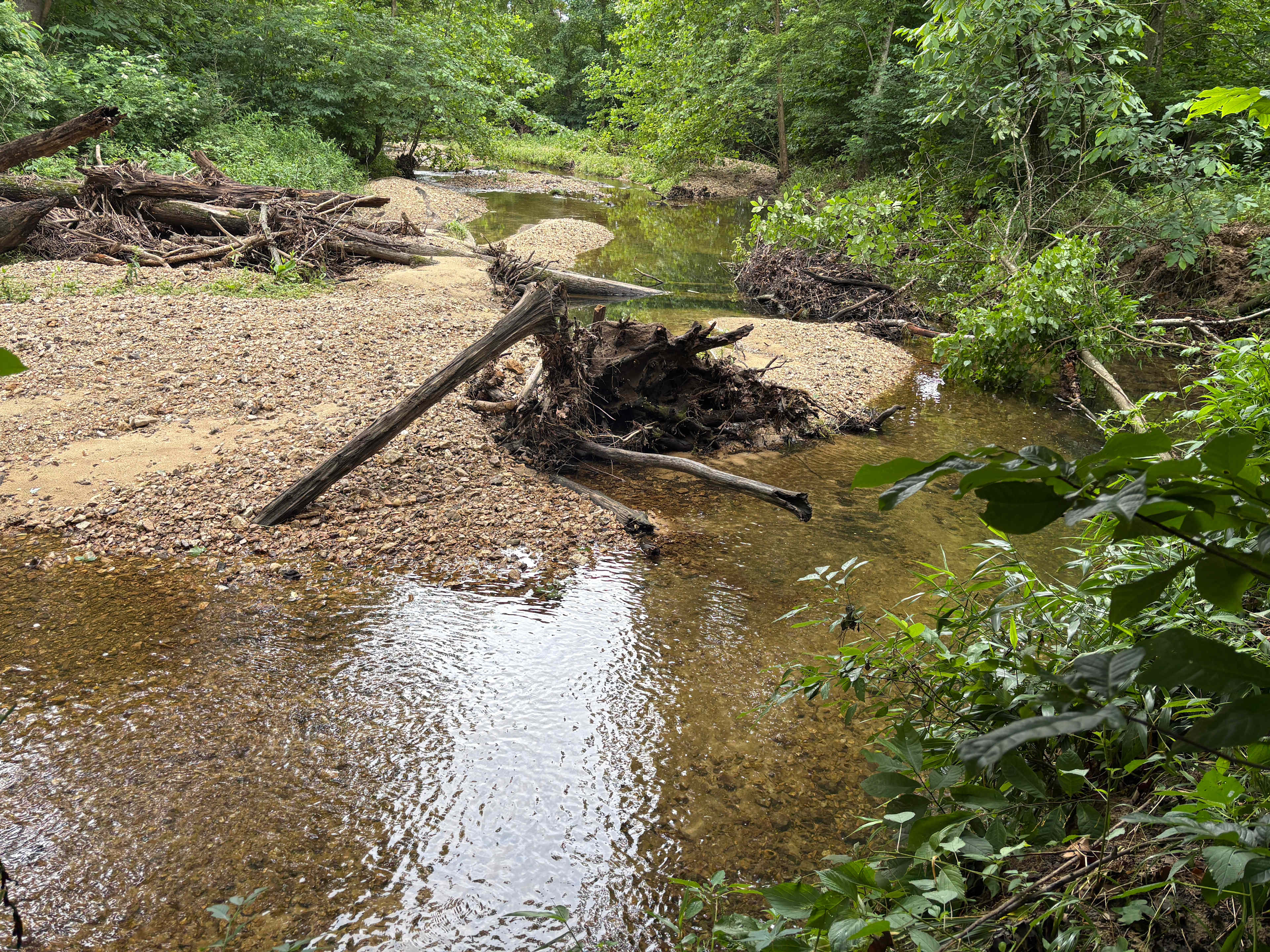 Hummingbird Hollow Outdoors