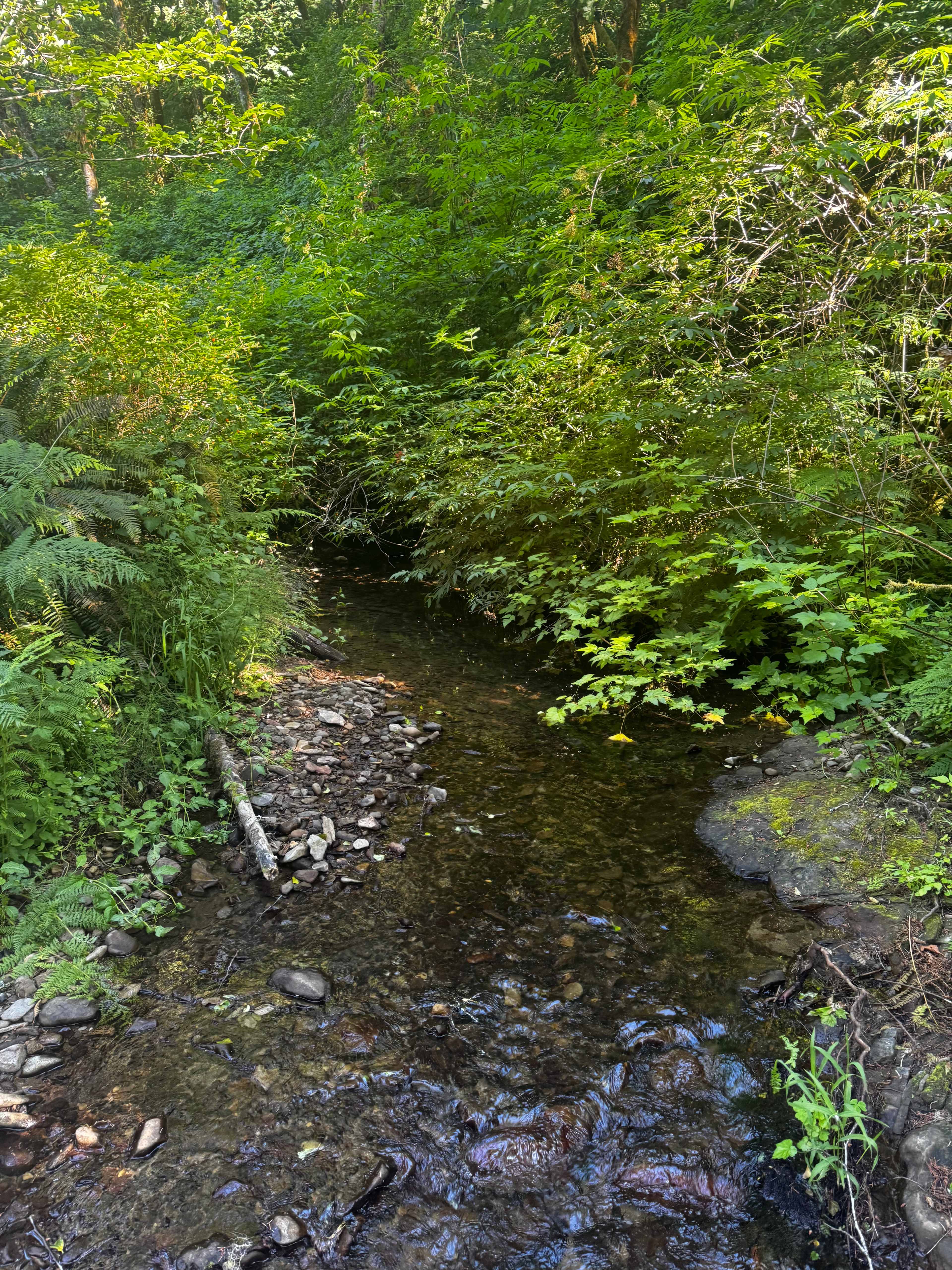 Alsea Valley Farm