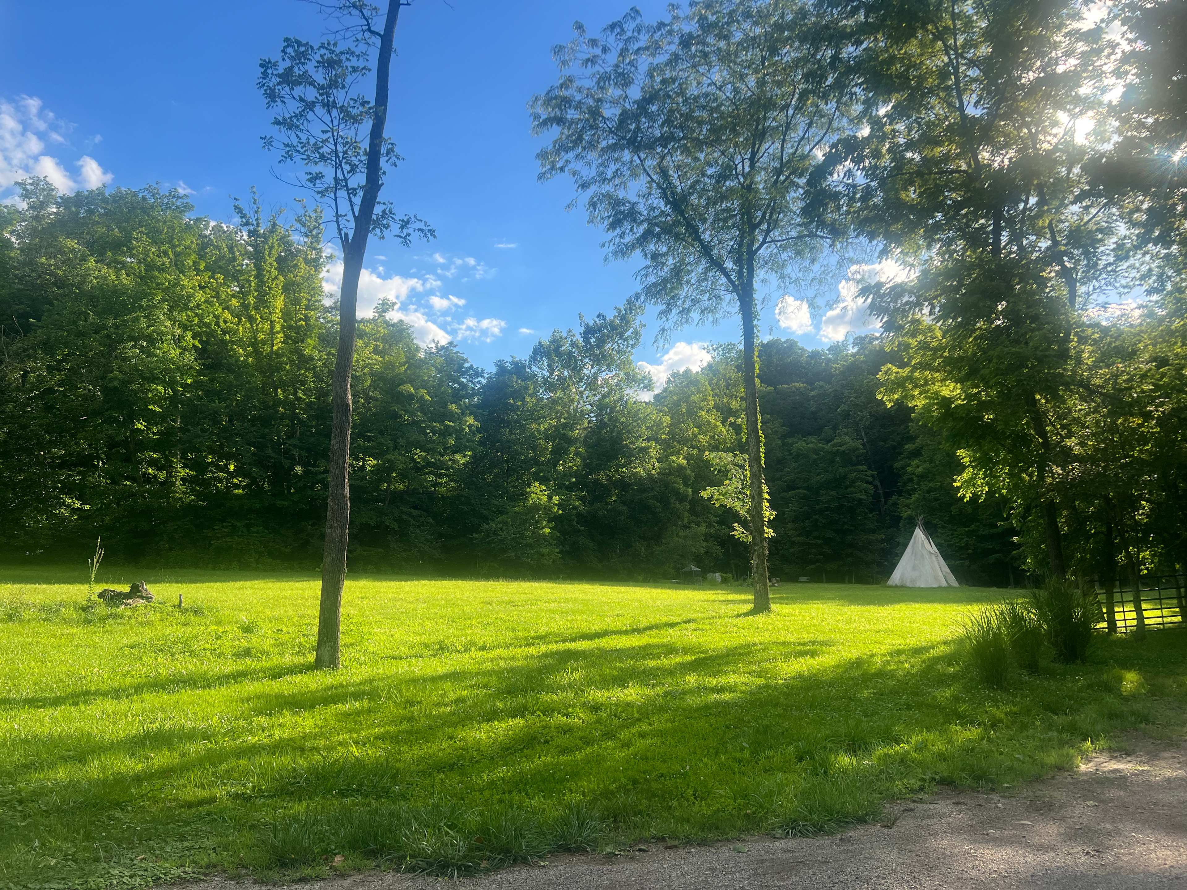 Picture of the site