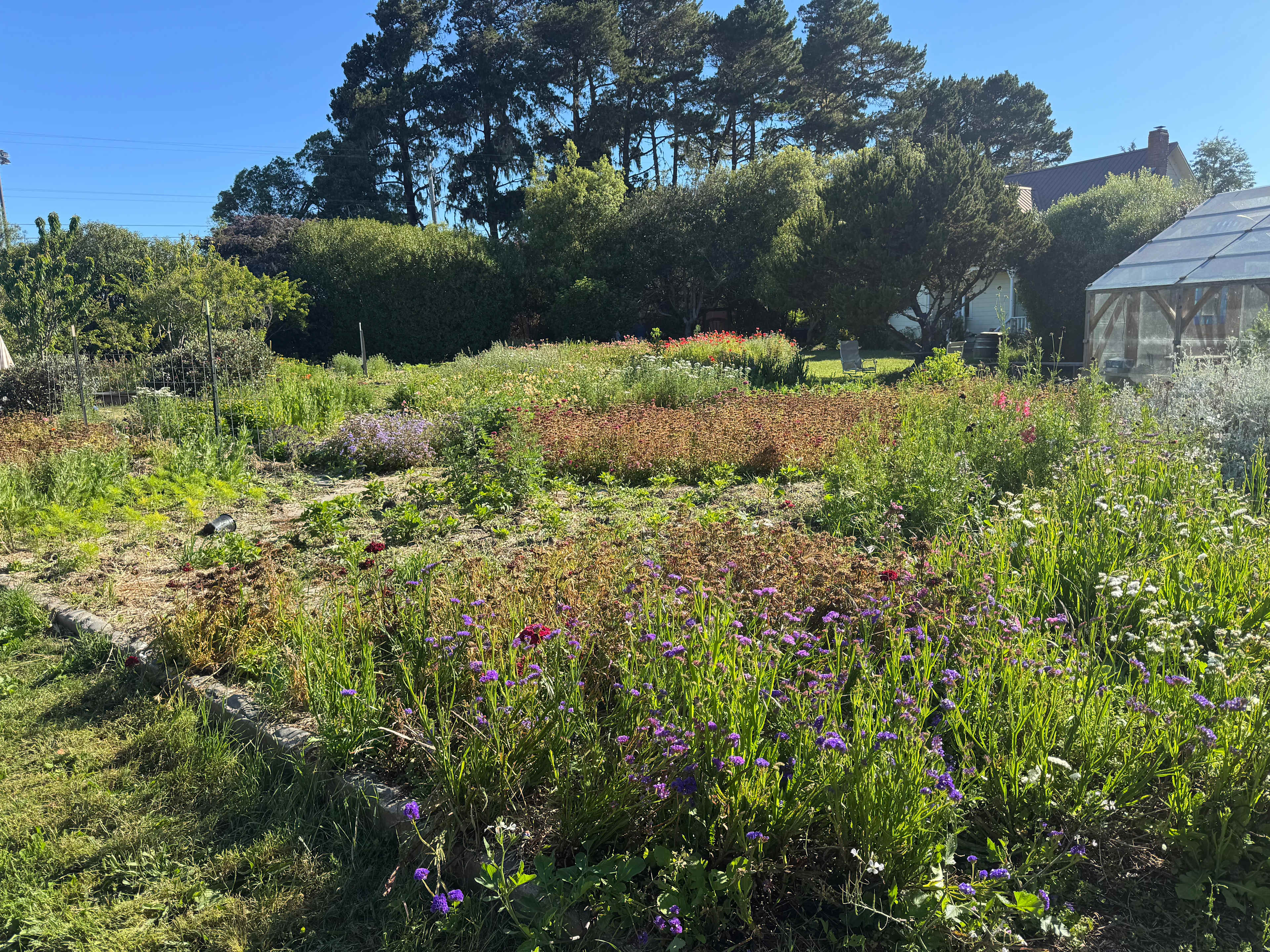 Good Things Farm Yurt, flower farm