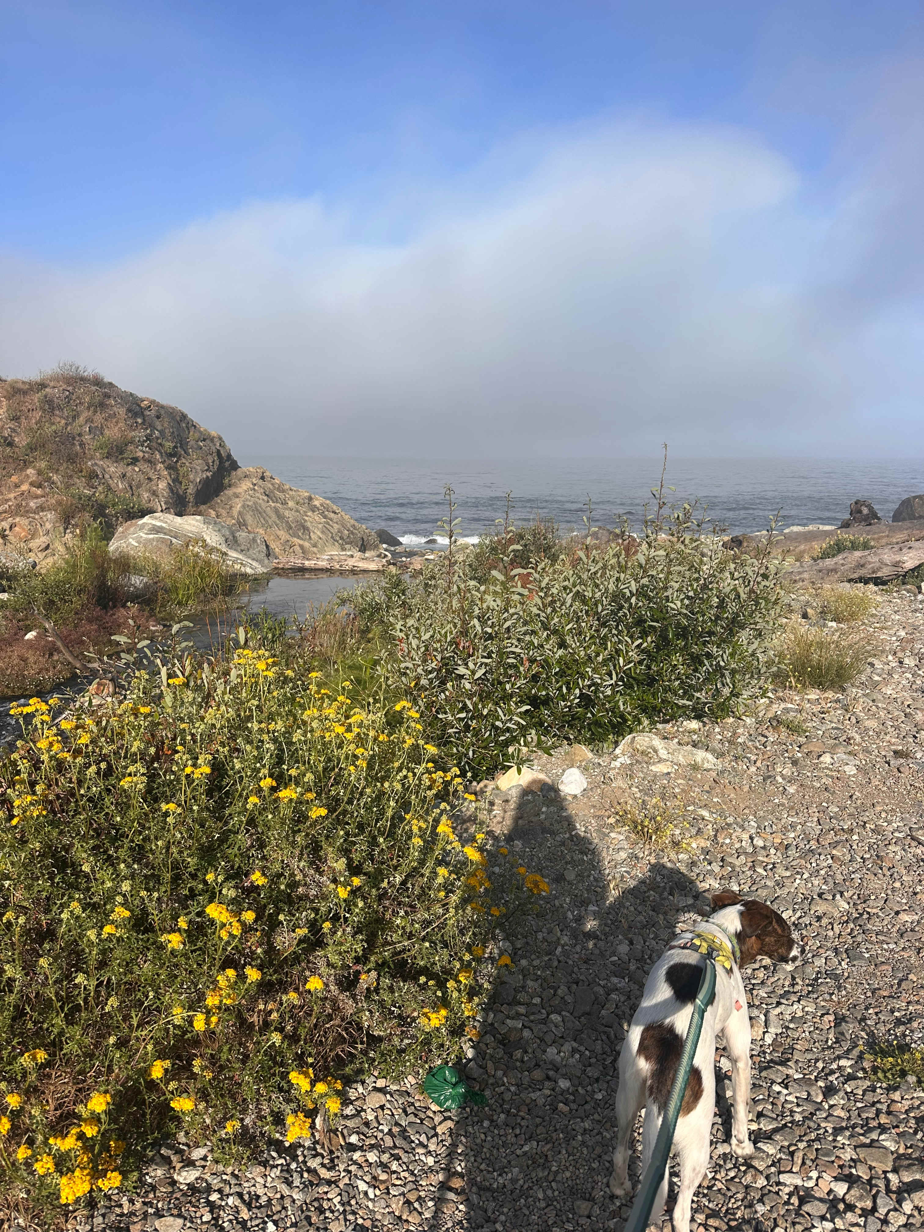 Creek leading to the ocean