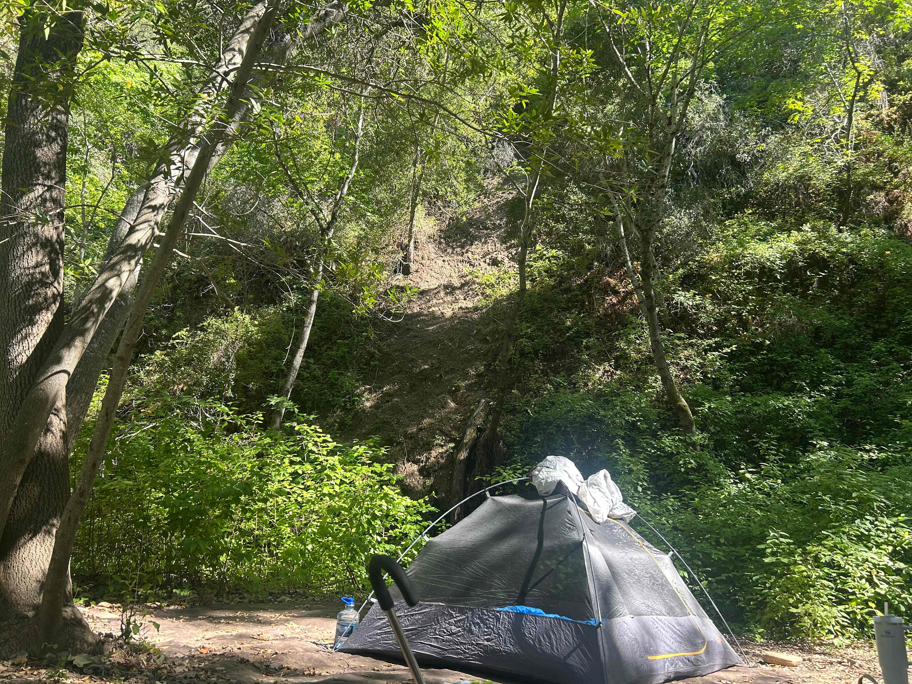 UpperLopez Creek Camp