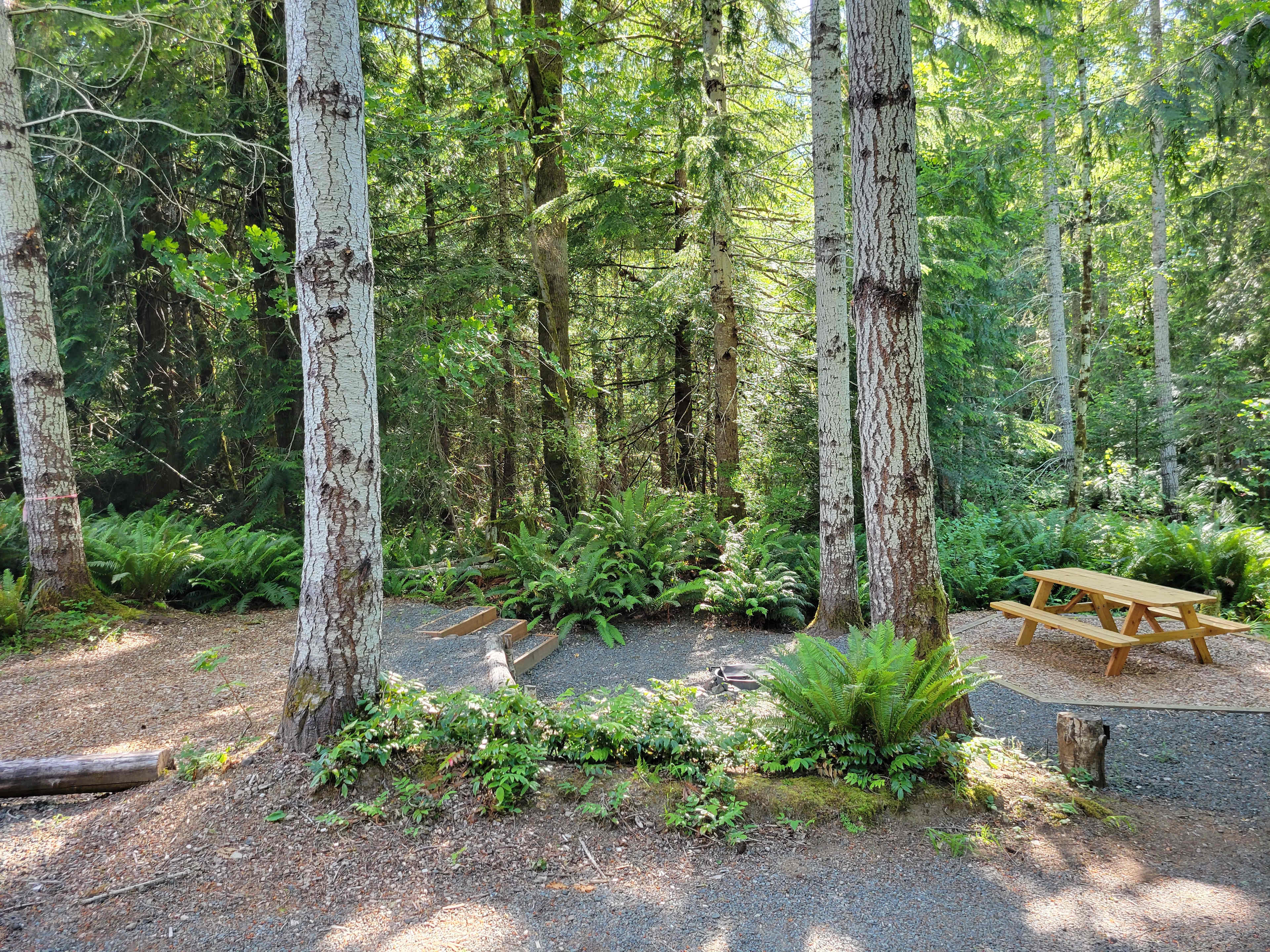 Wandering Joy Campground