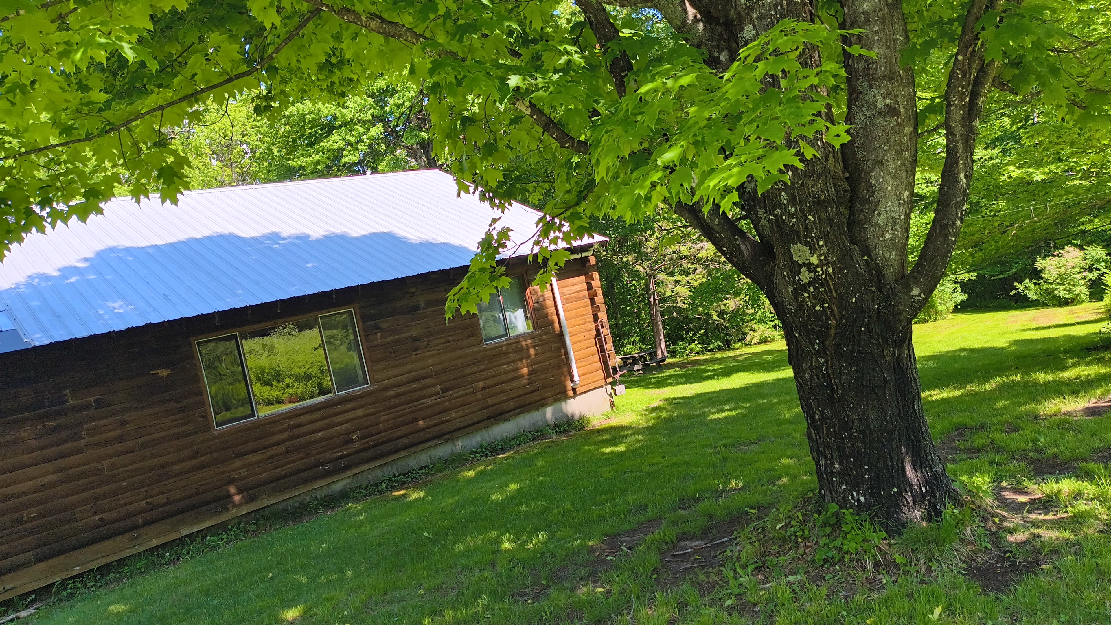 Forest Echo Cabins