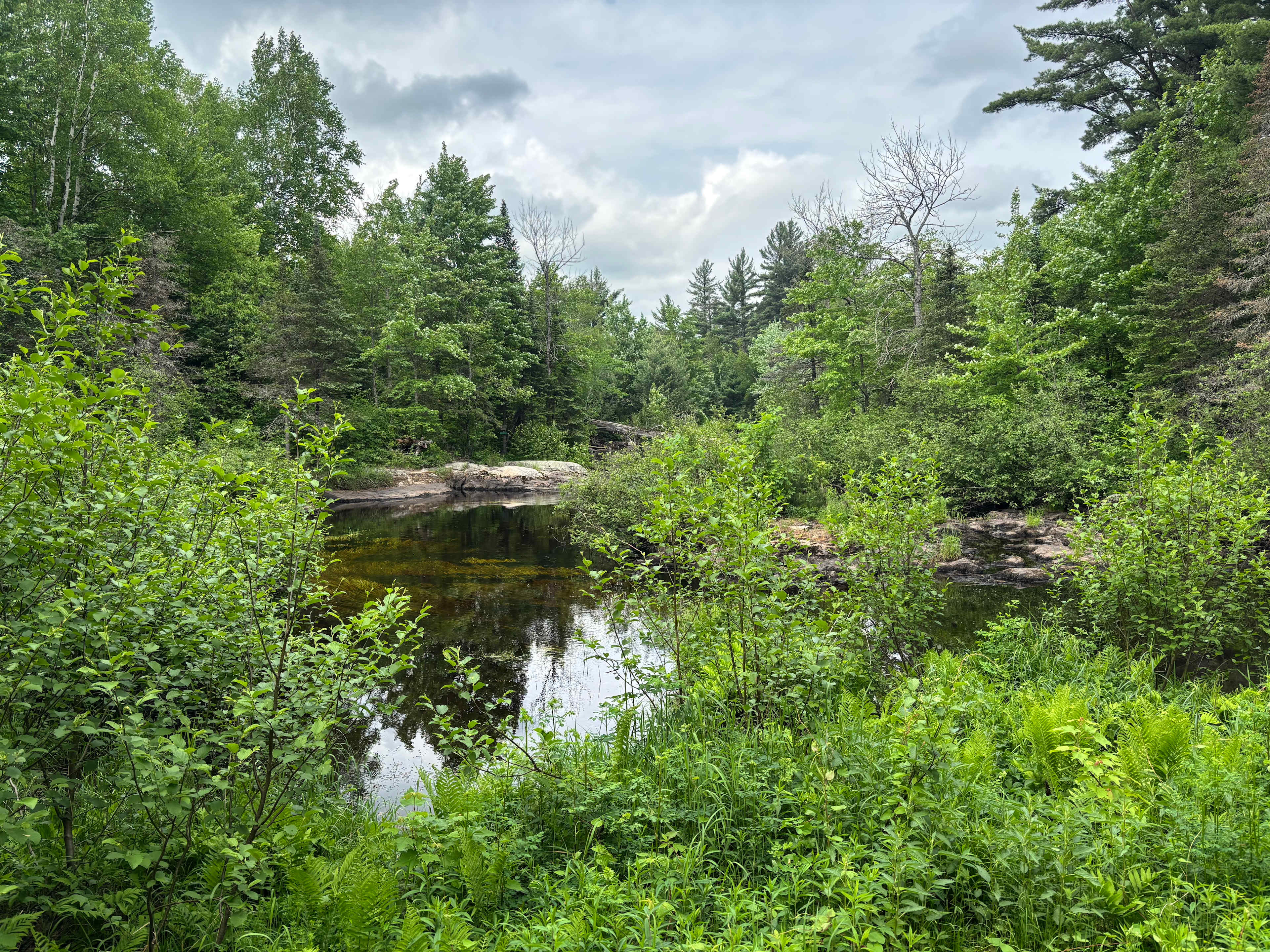 Bad River Wilderness