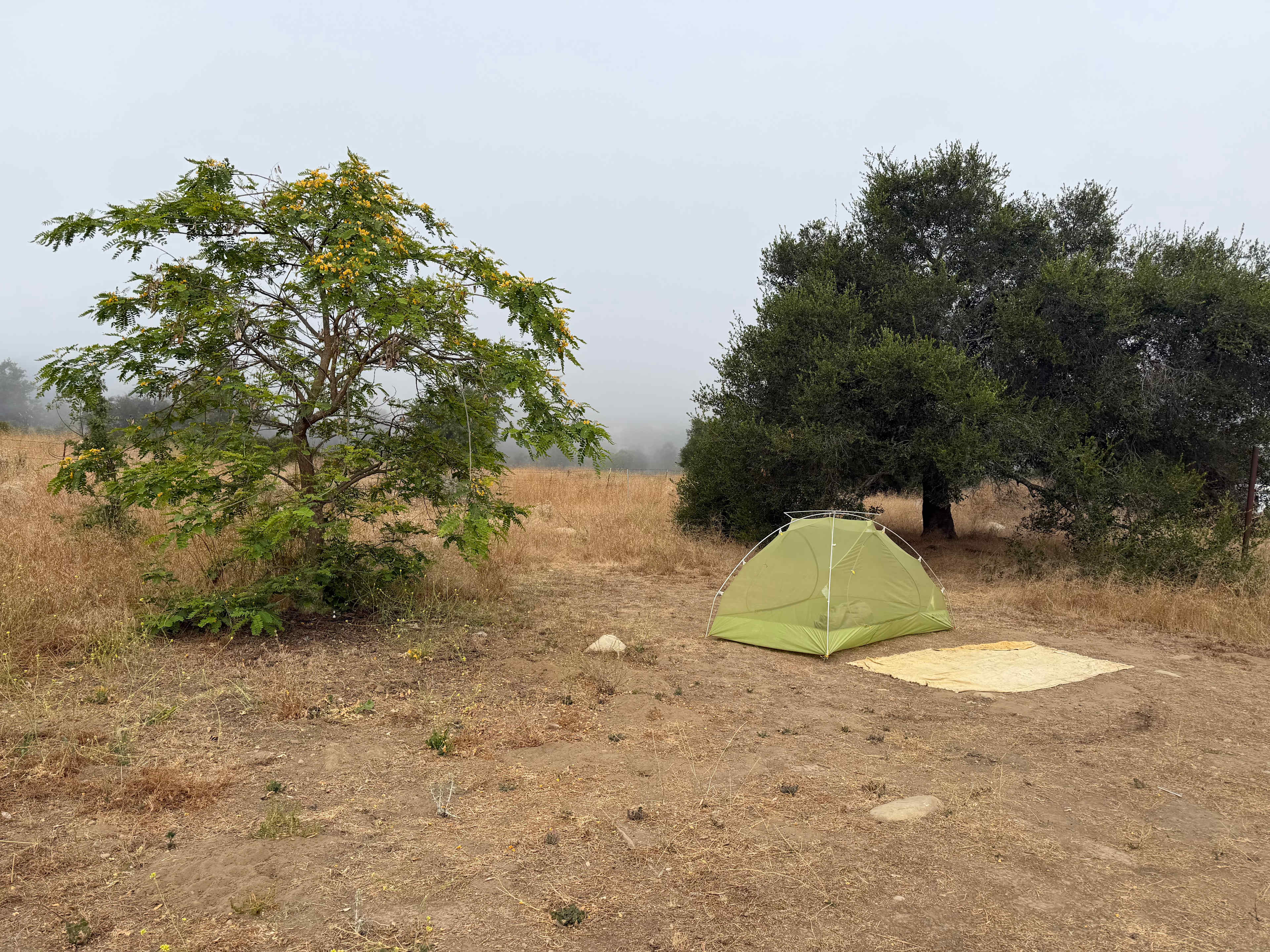 Arber-Moore's Ranch