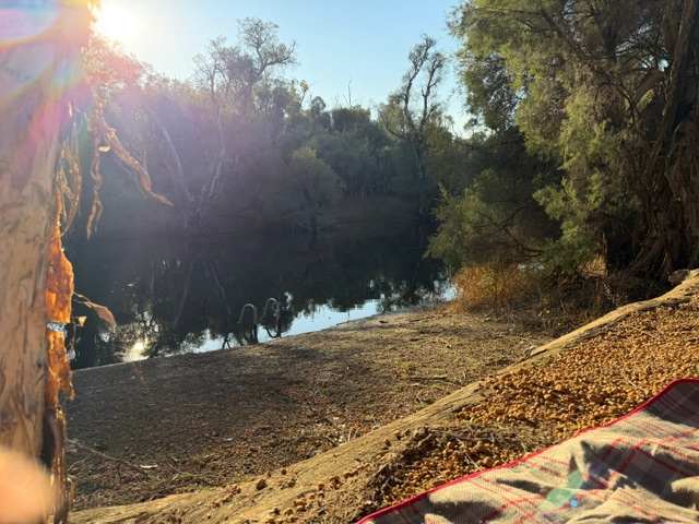 Murray Valley Camping