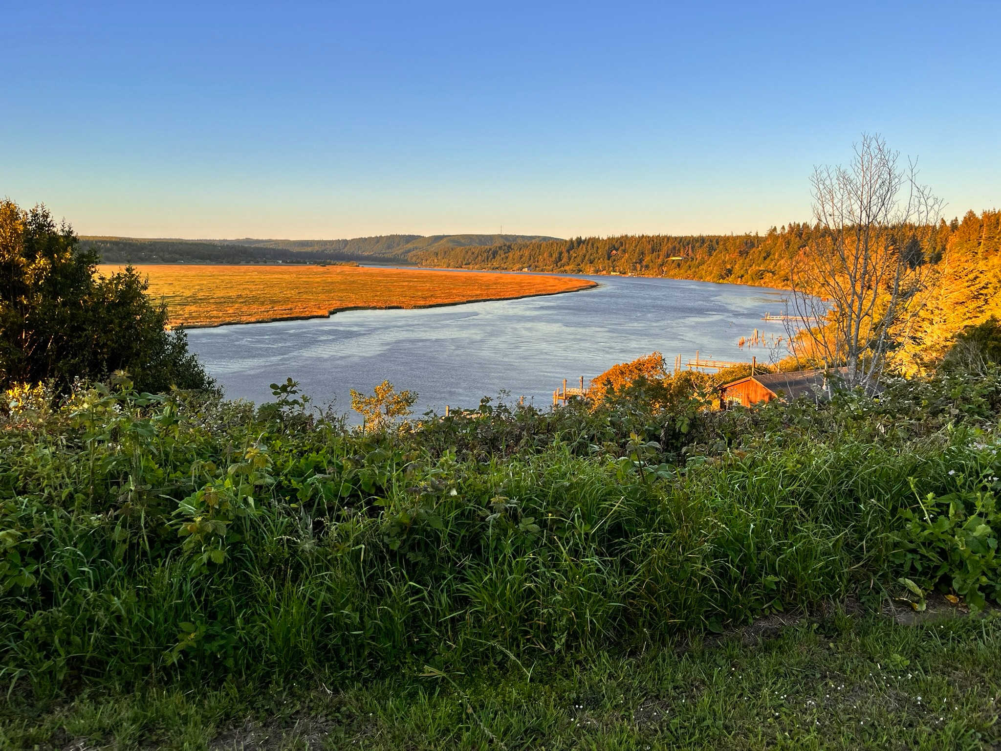 Prosper Bluff