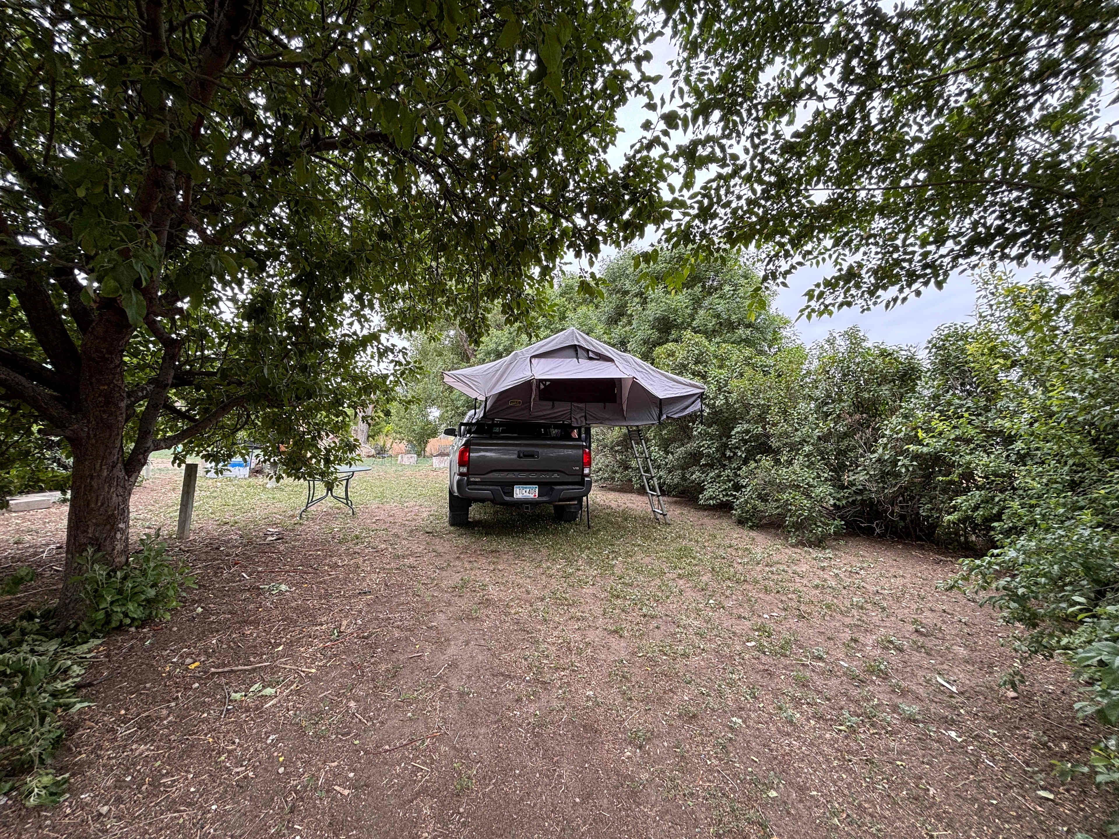 Cottonwood Tree Camp