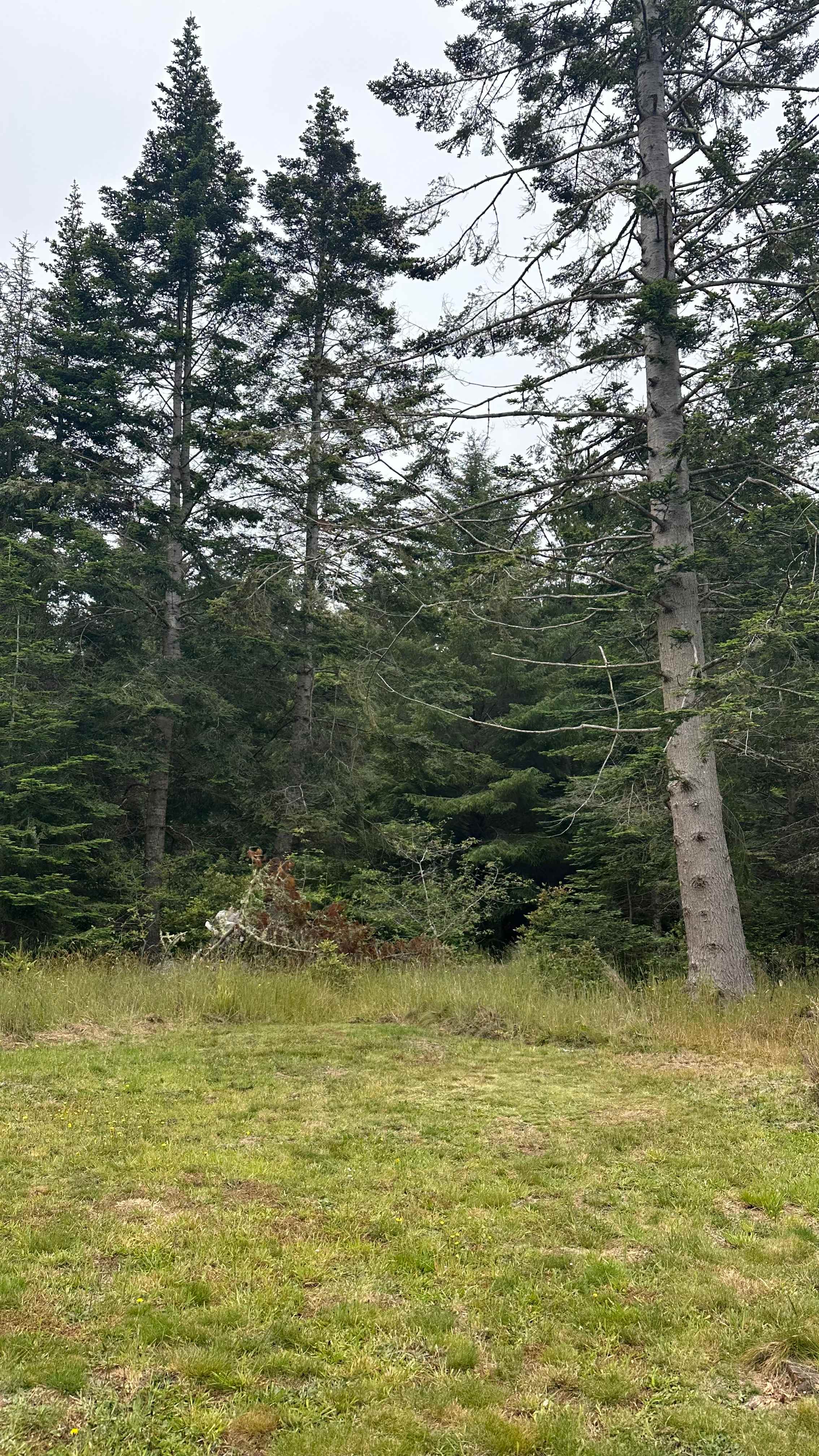 Campsite