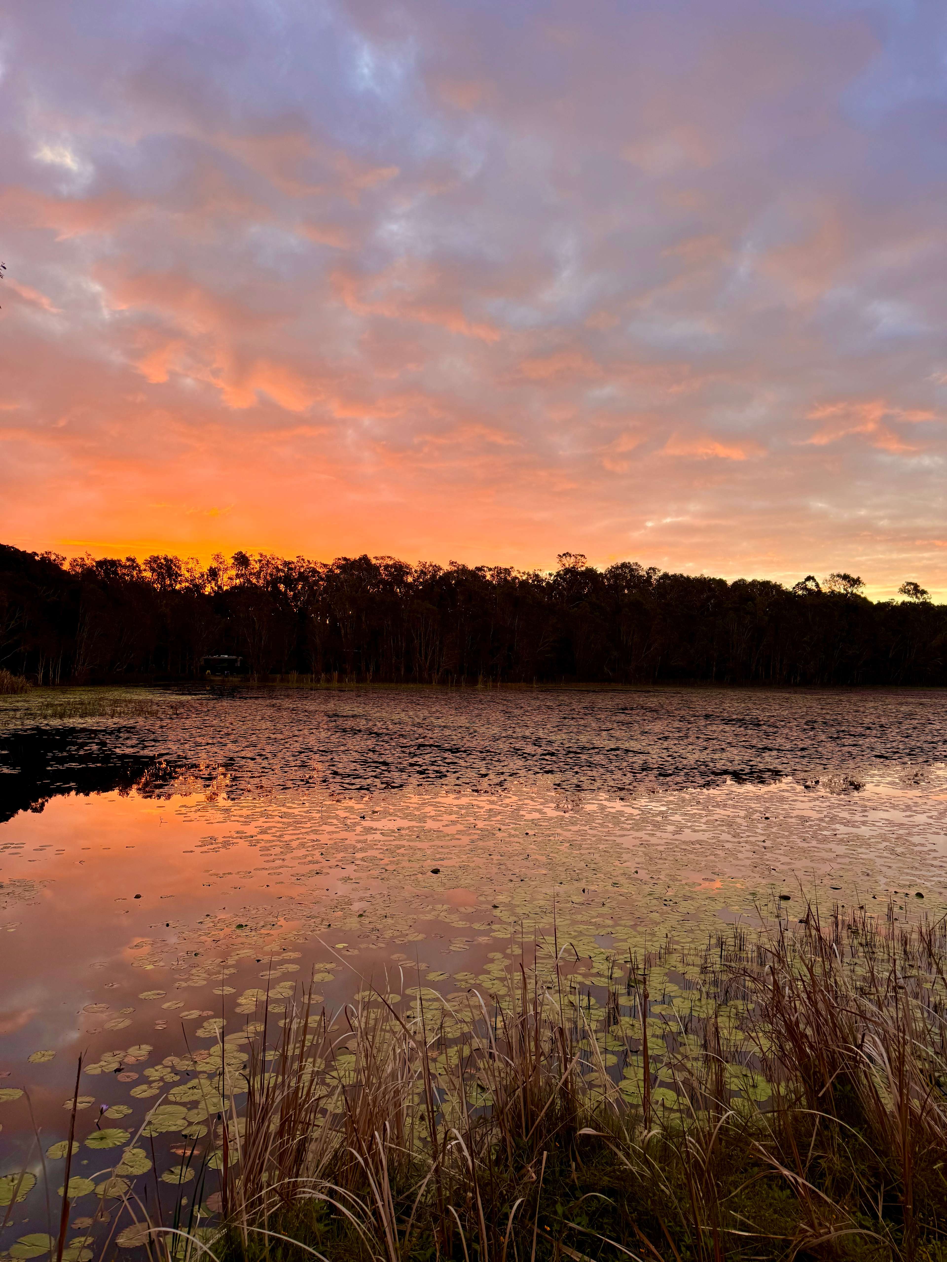 The Magic Pond