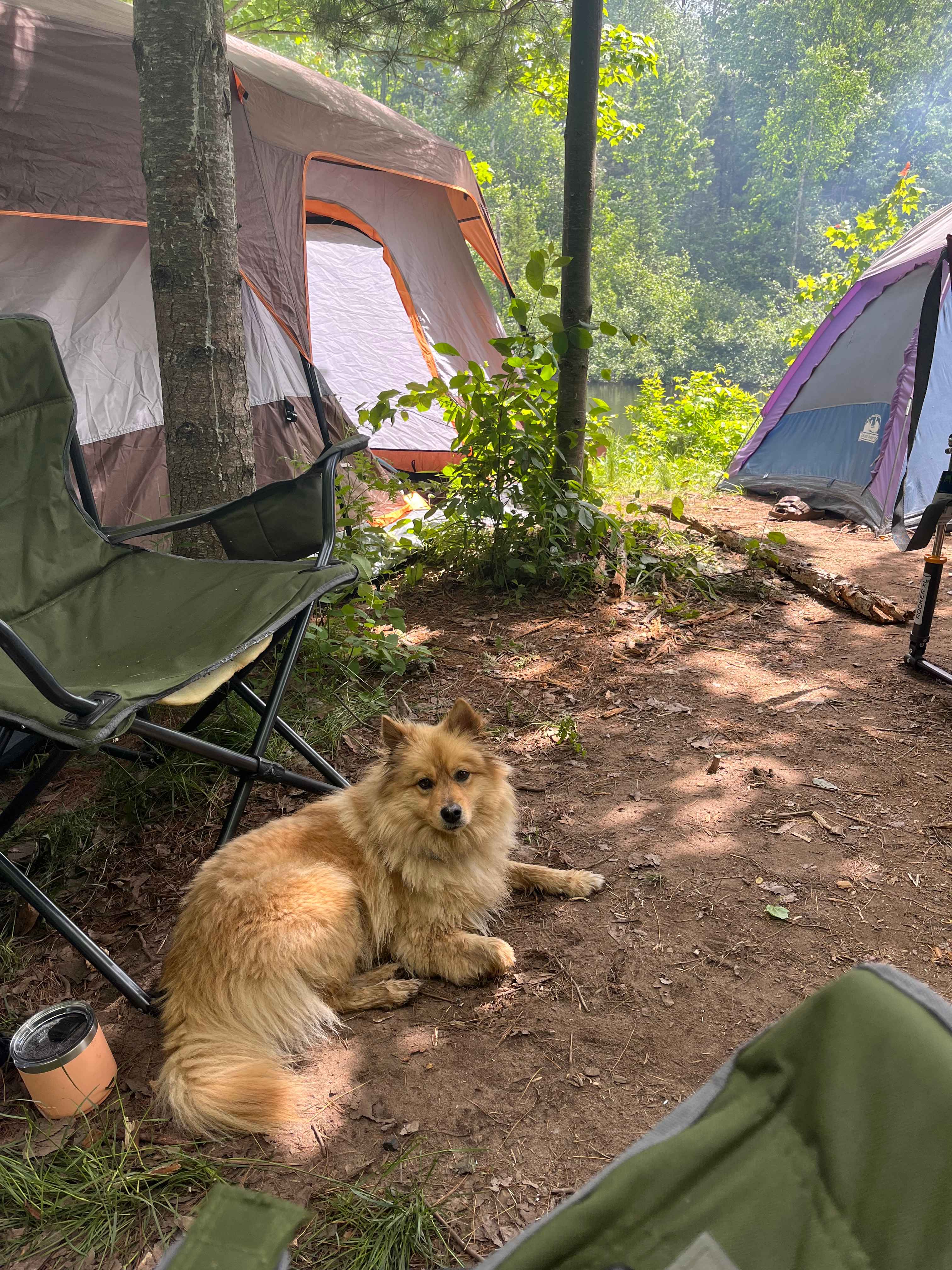 Bad River Wilderness
