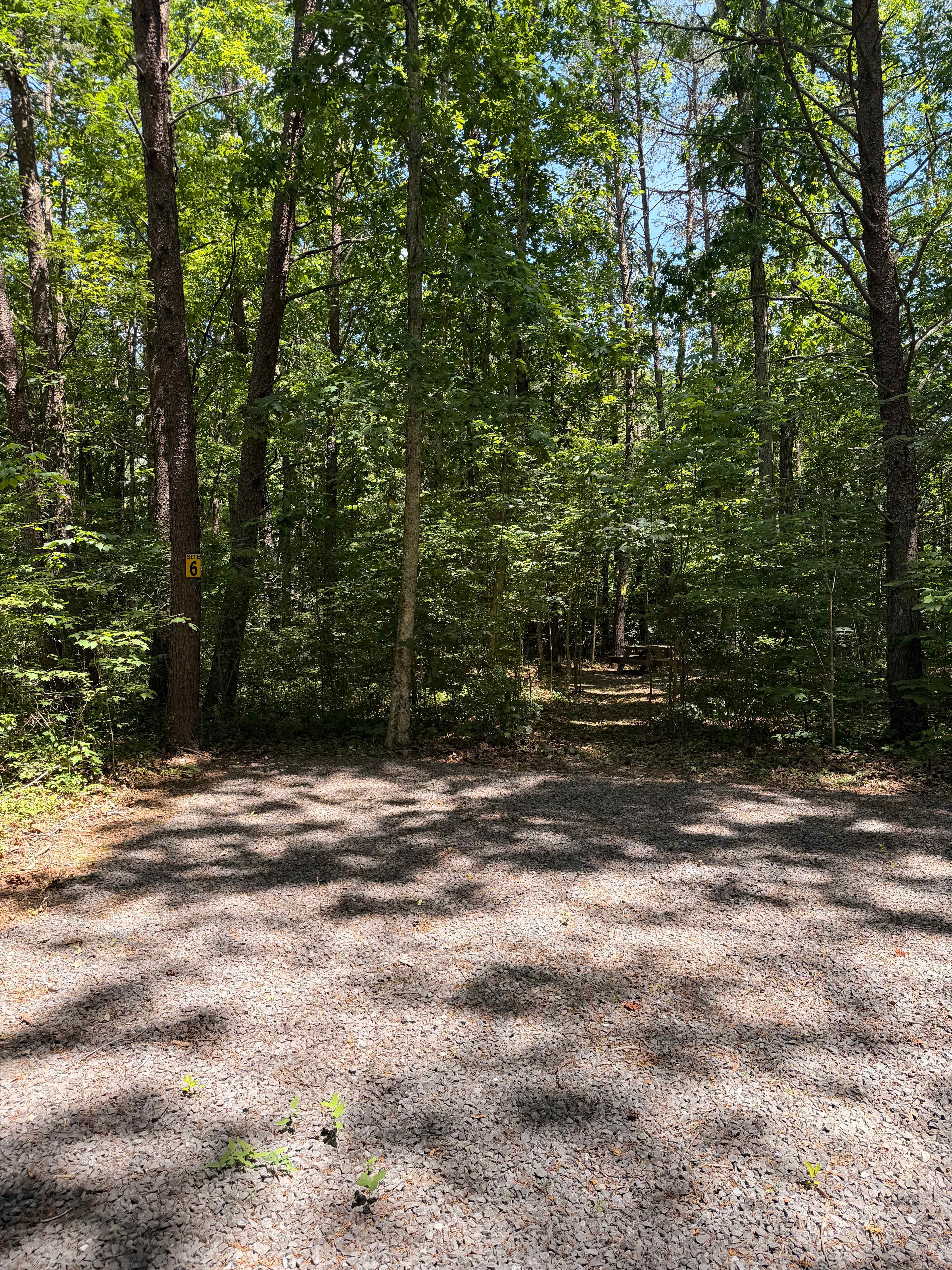 Picture of the site