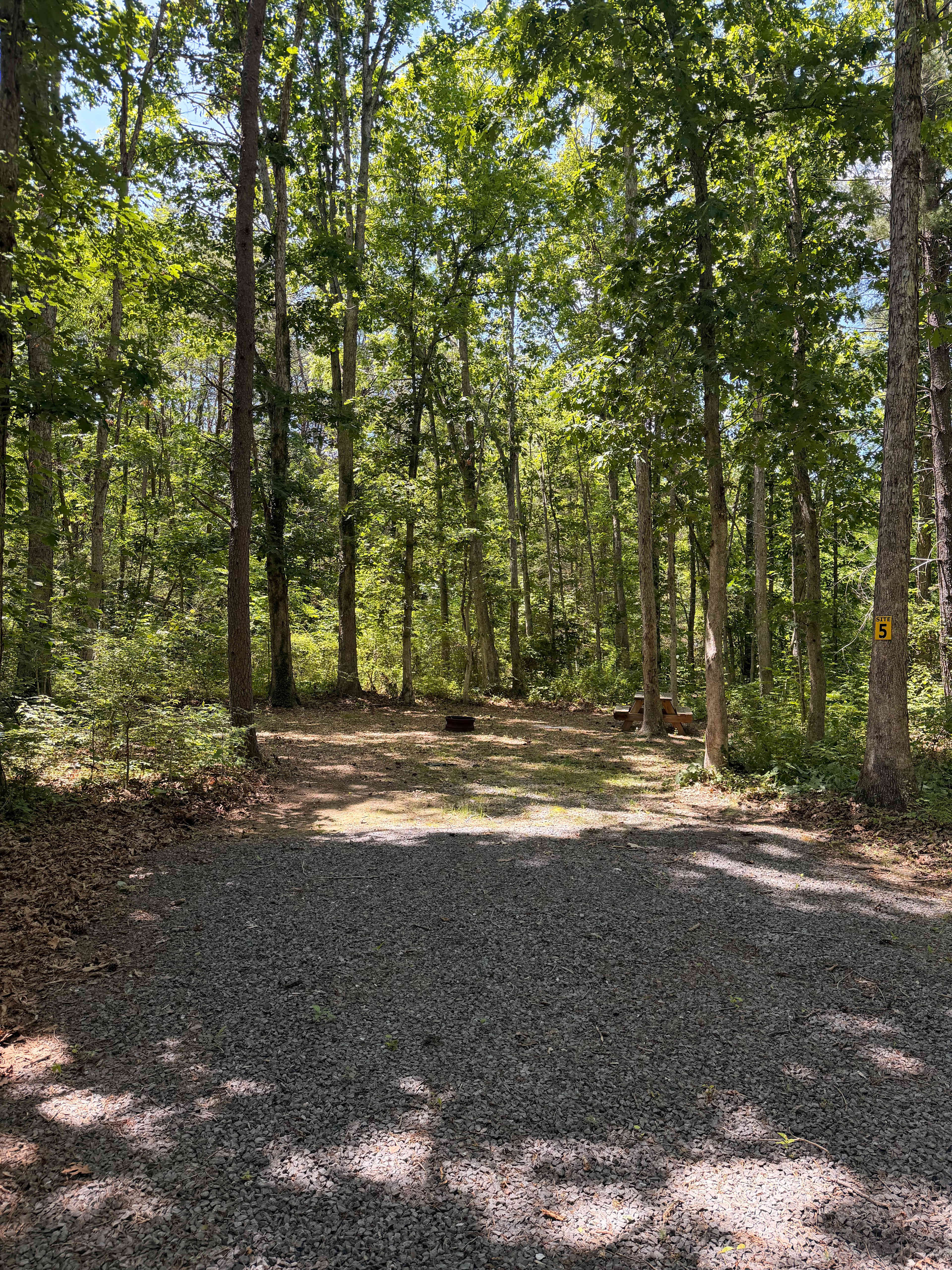 Picture of the site